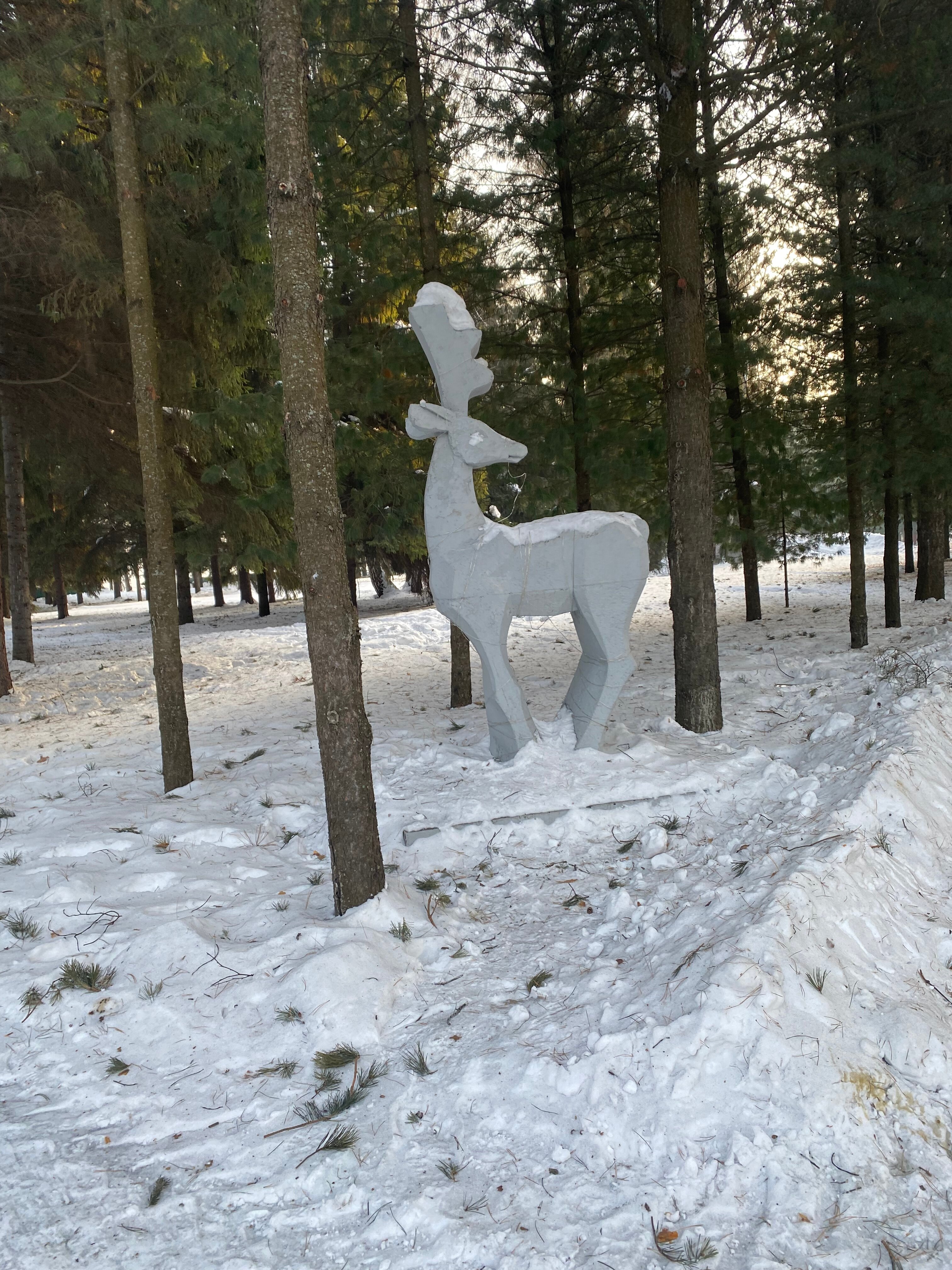 Фото Притомье