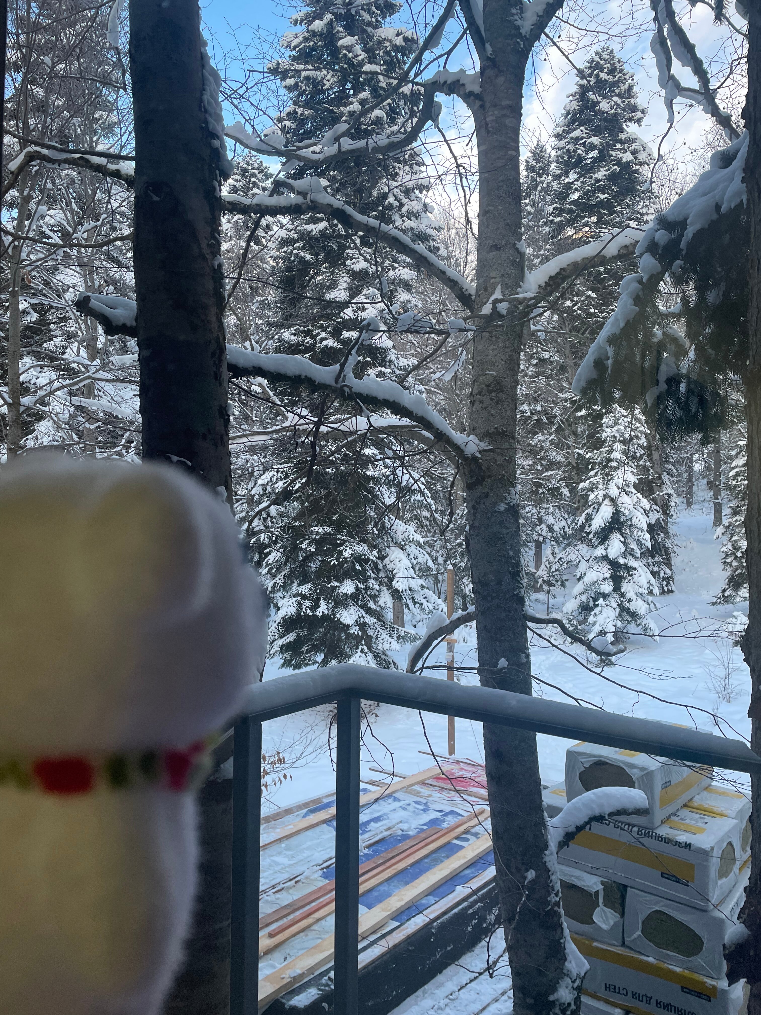 Фото Премьер Ski