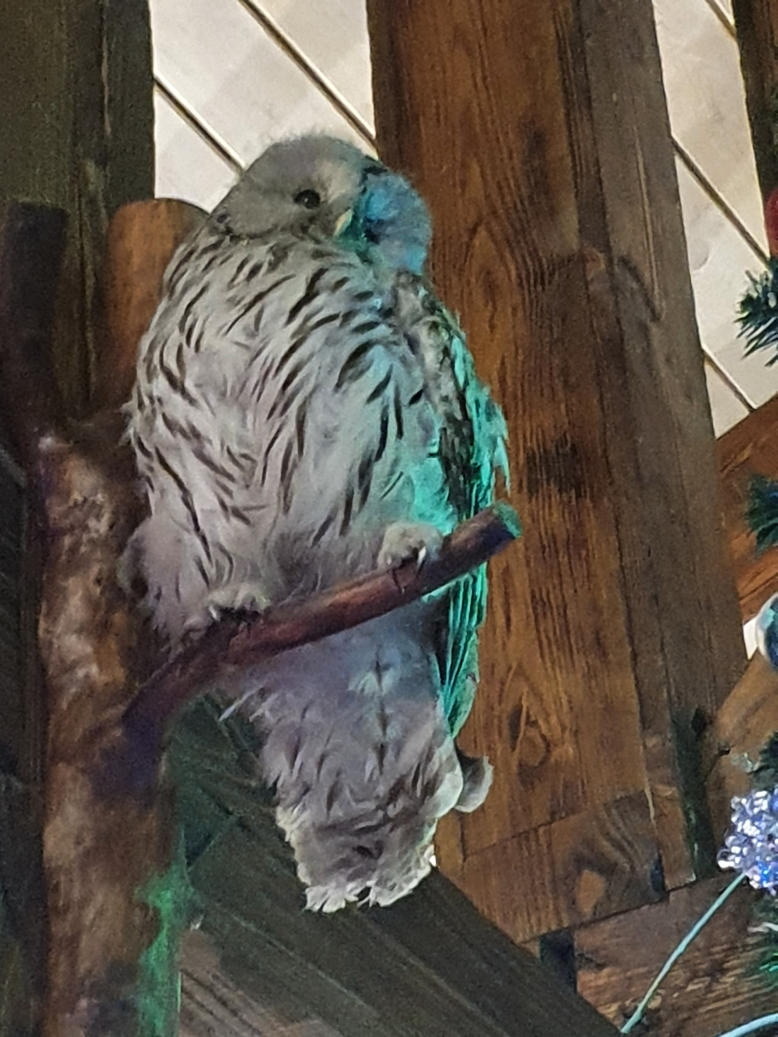 Фото Тайнинская слобода