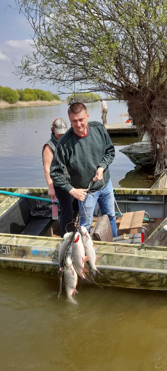 Фото Камышовый рай