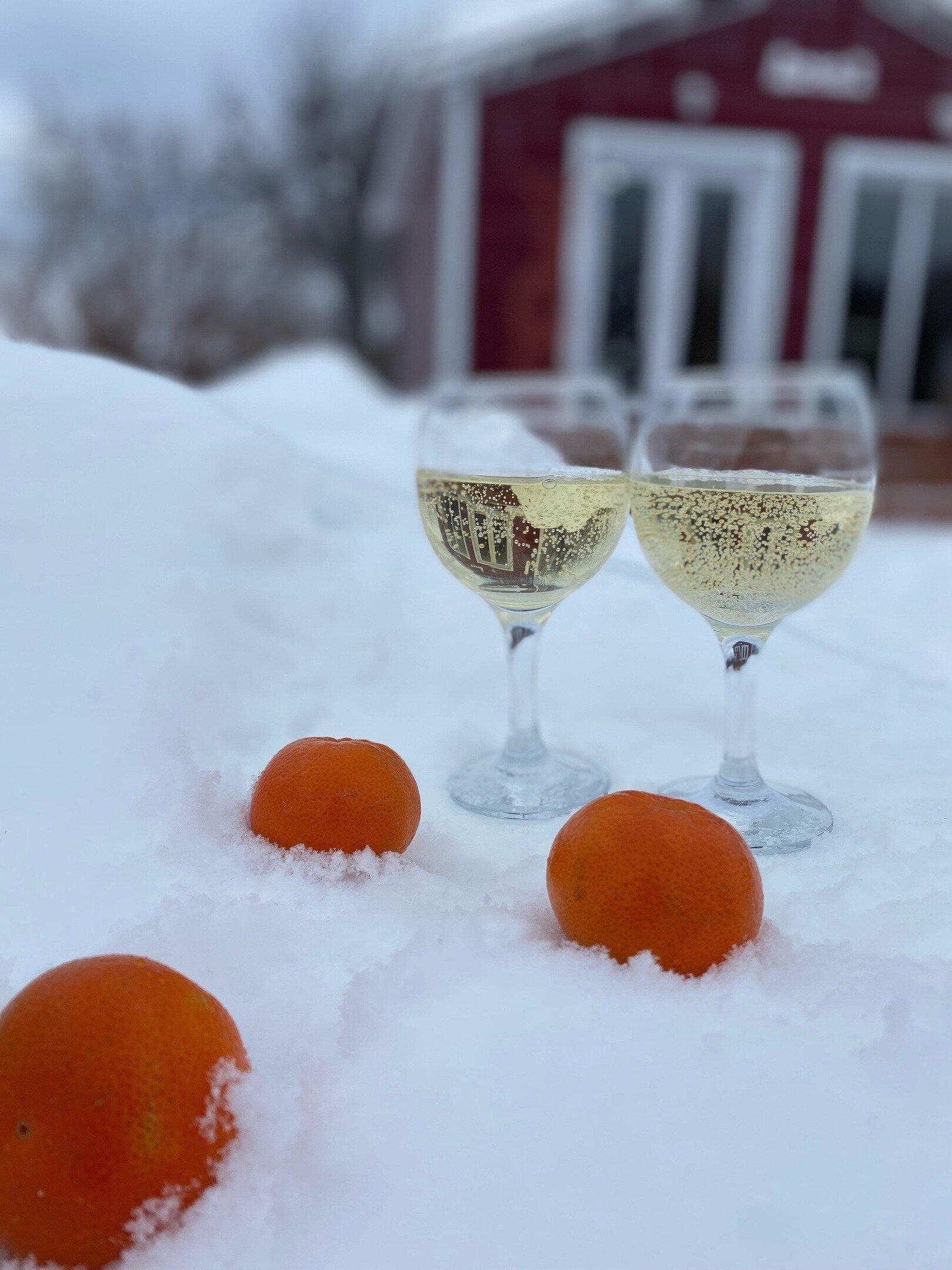 Фото КраснаДача