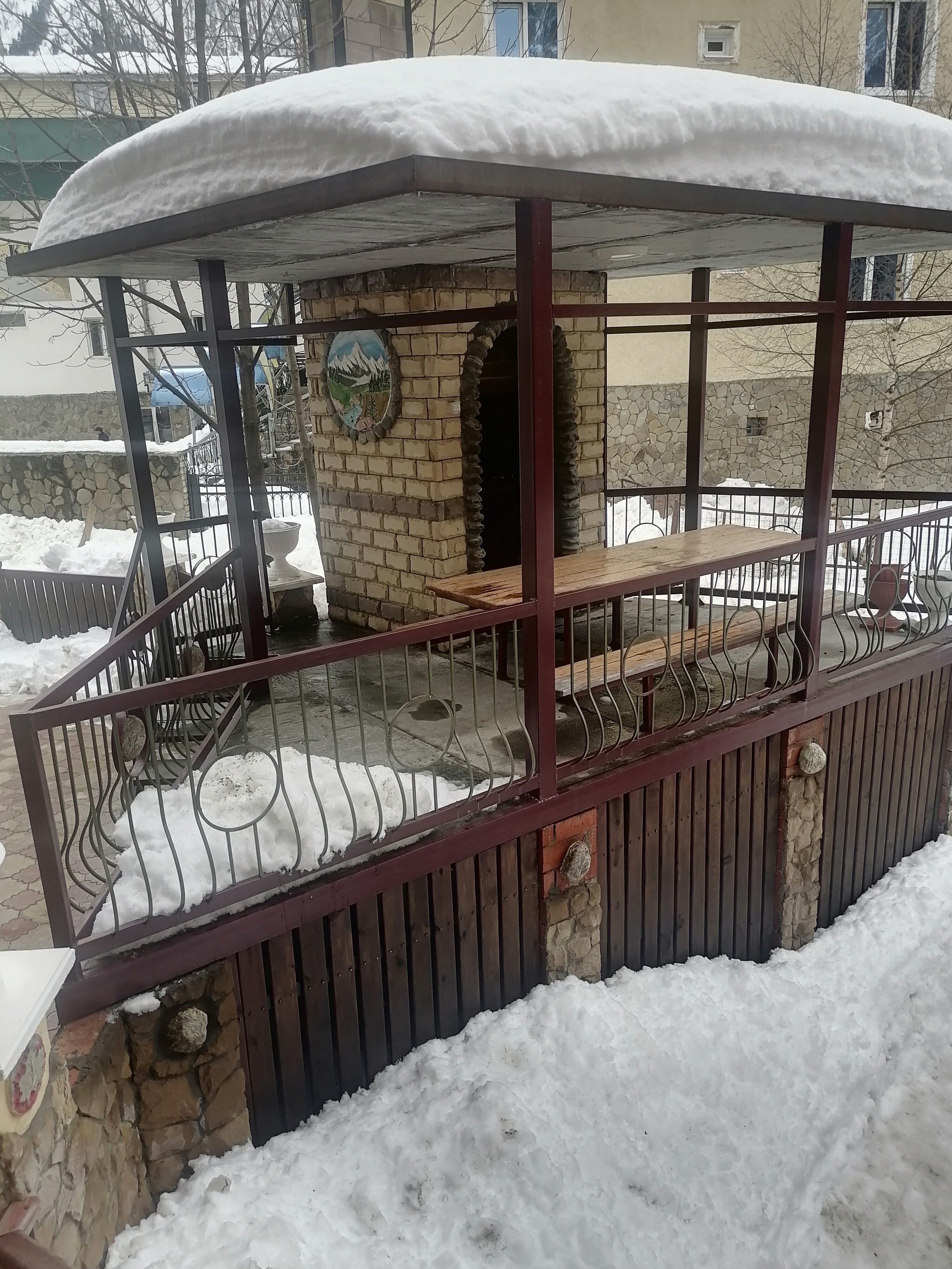 Фото Старый Клён