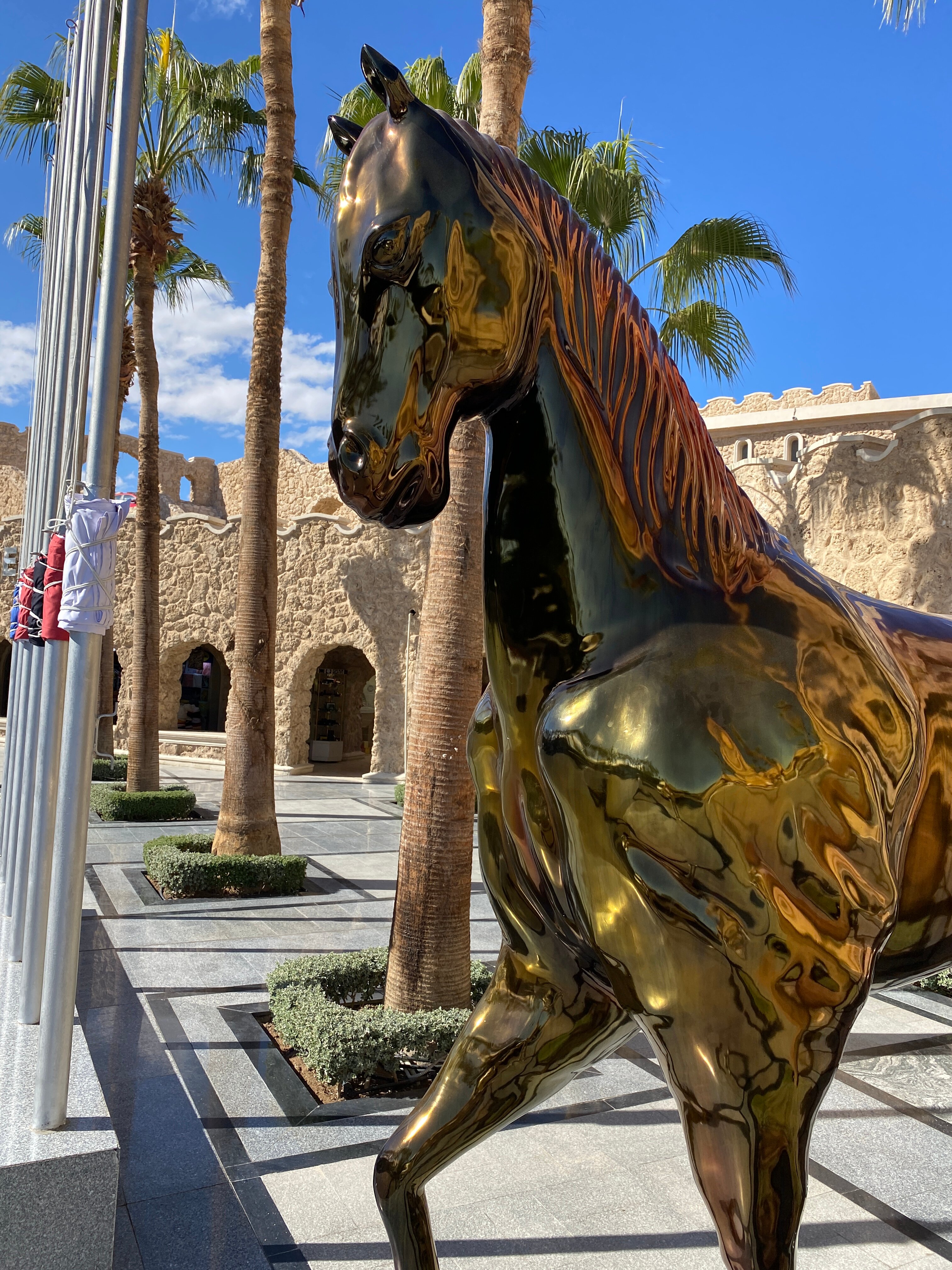 Фото Пикальбатрос Цитадель Резорт