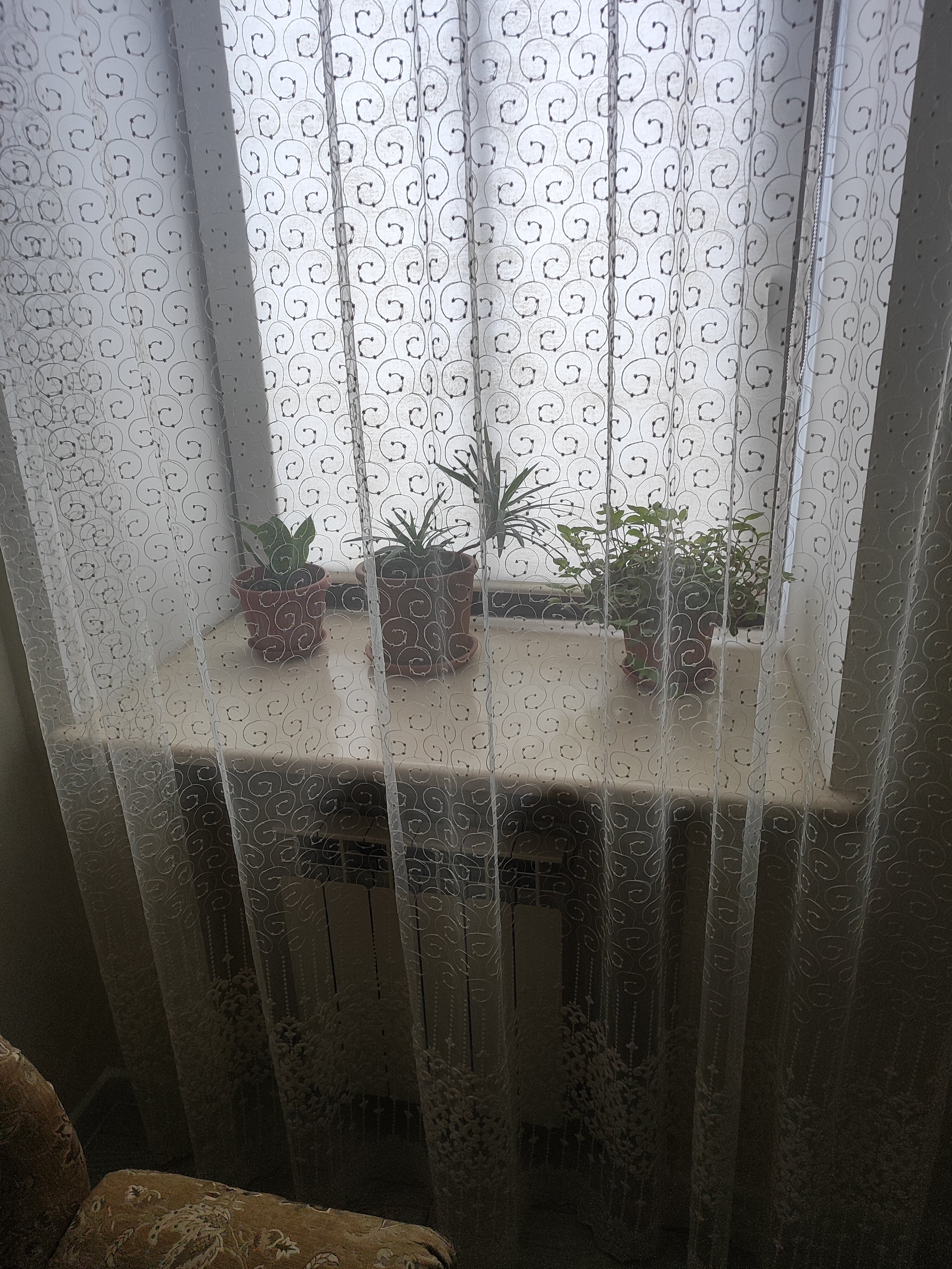 Фото Бон Ами