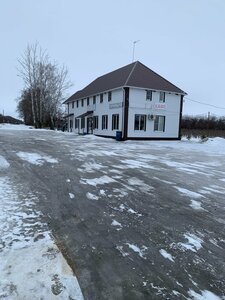 Берёзка