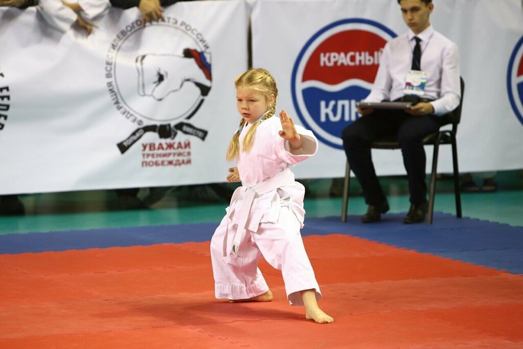 مدرسة رياضية Volga region academy of martial arts ، تولياتي، صورة