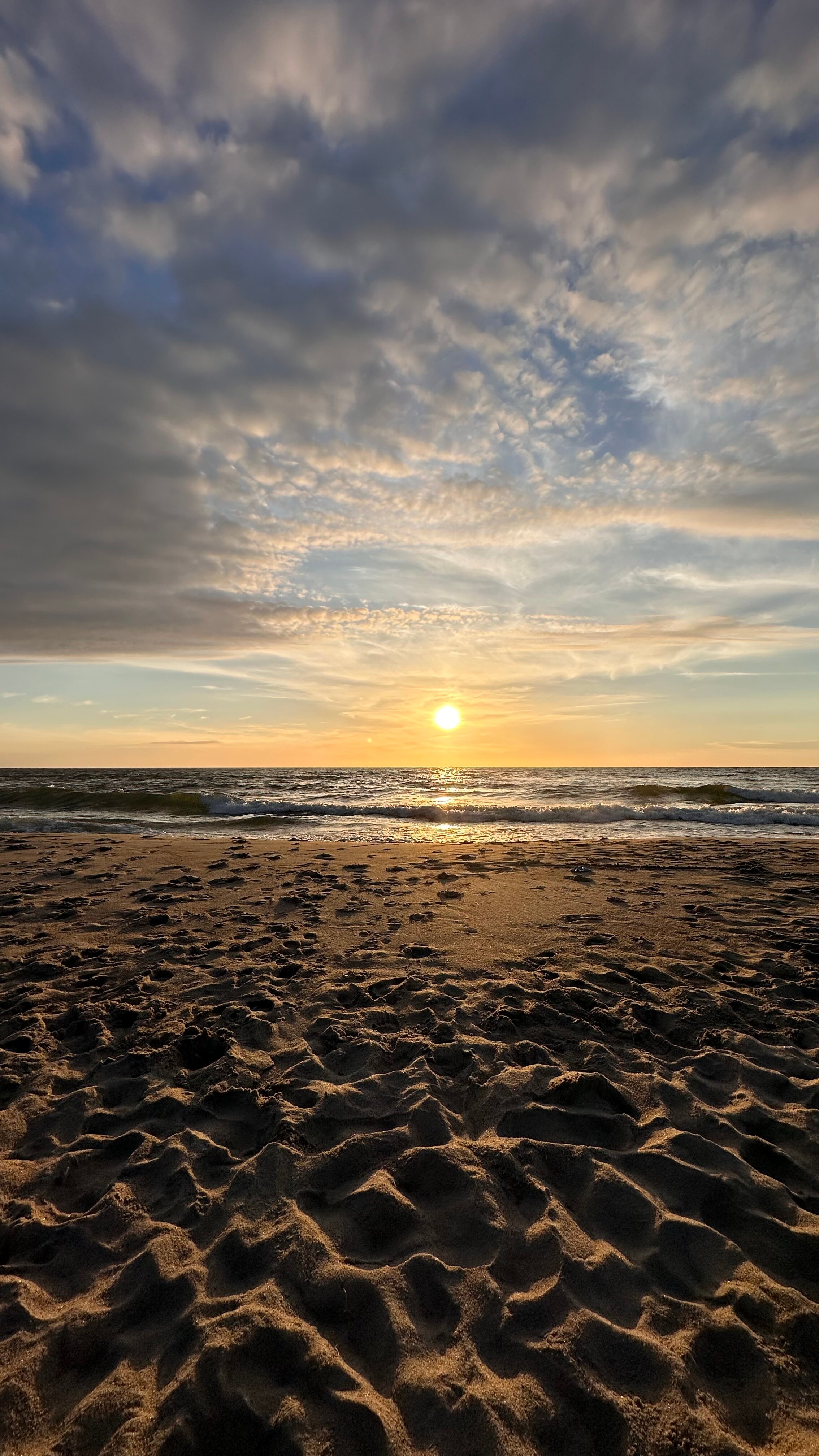 Фото Бунгало 39