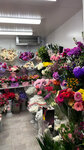 Цветы (ул. Дмитрия Ульянова, 32/34), магазин цветов в Москве