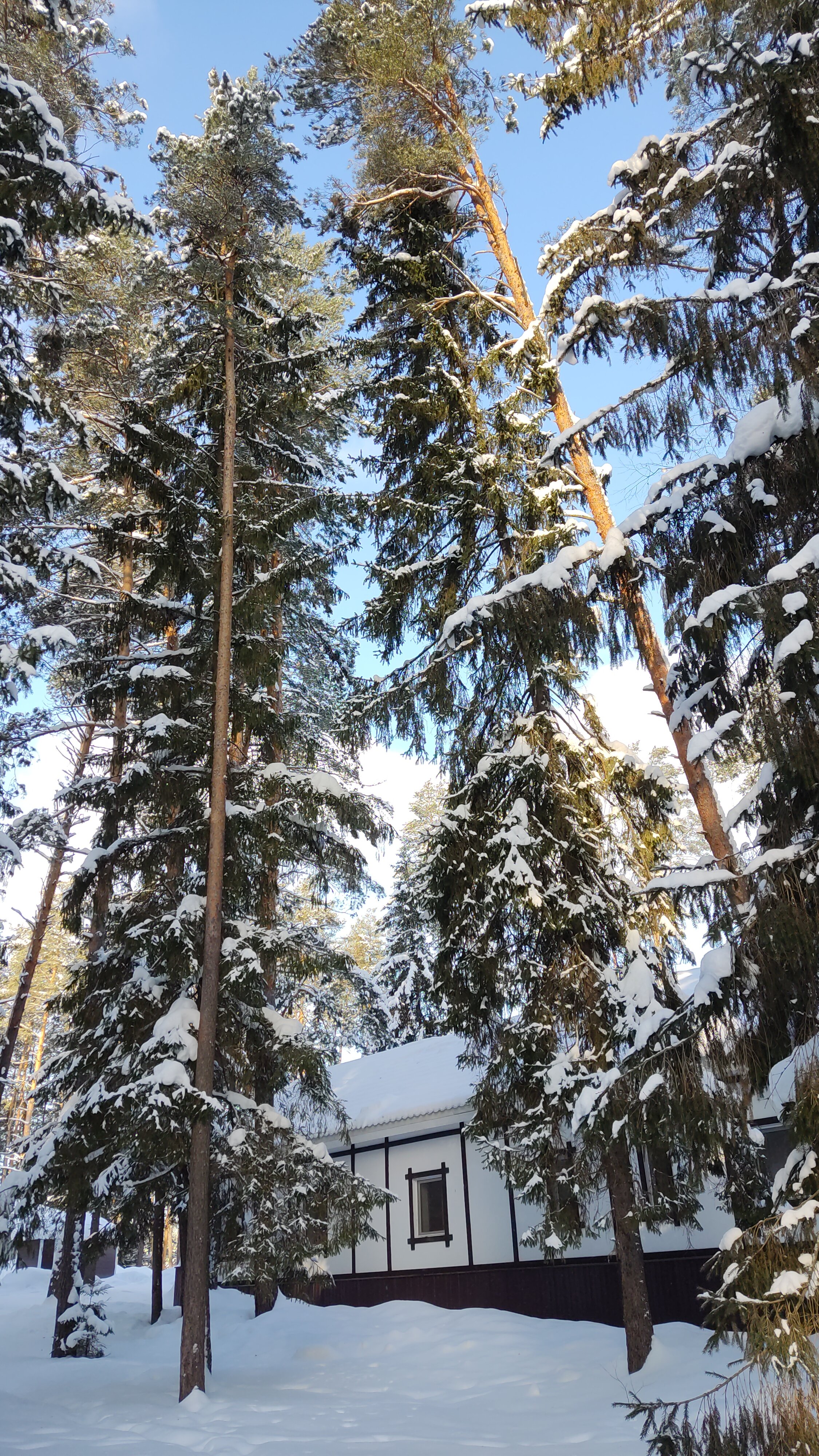 Фото Спутник