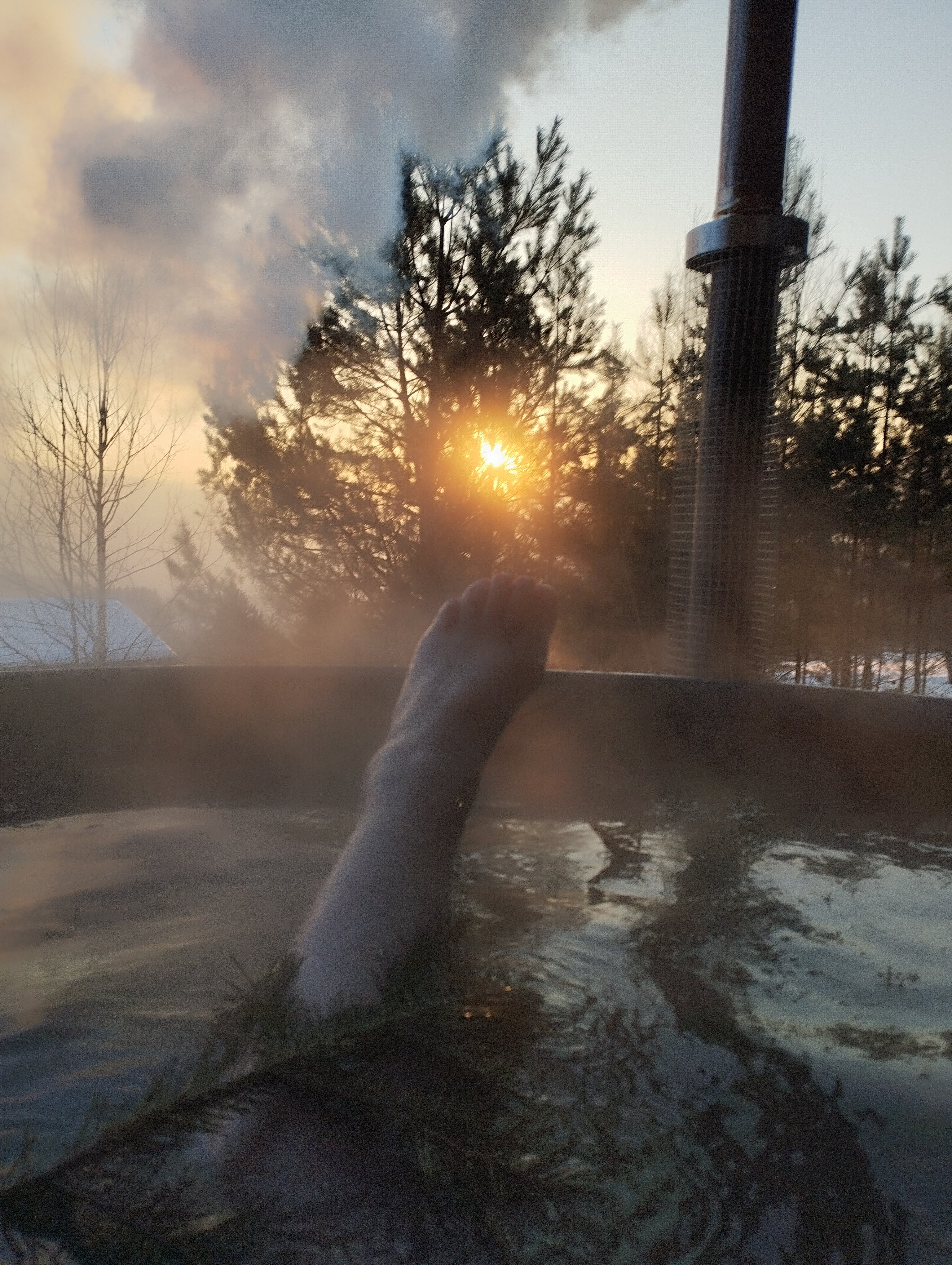 Фото Блэк пайн