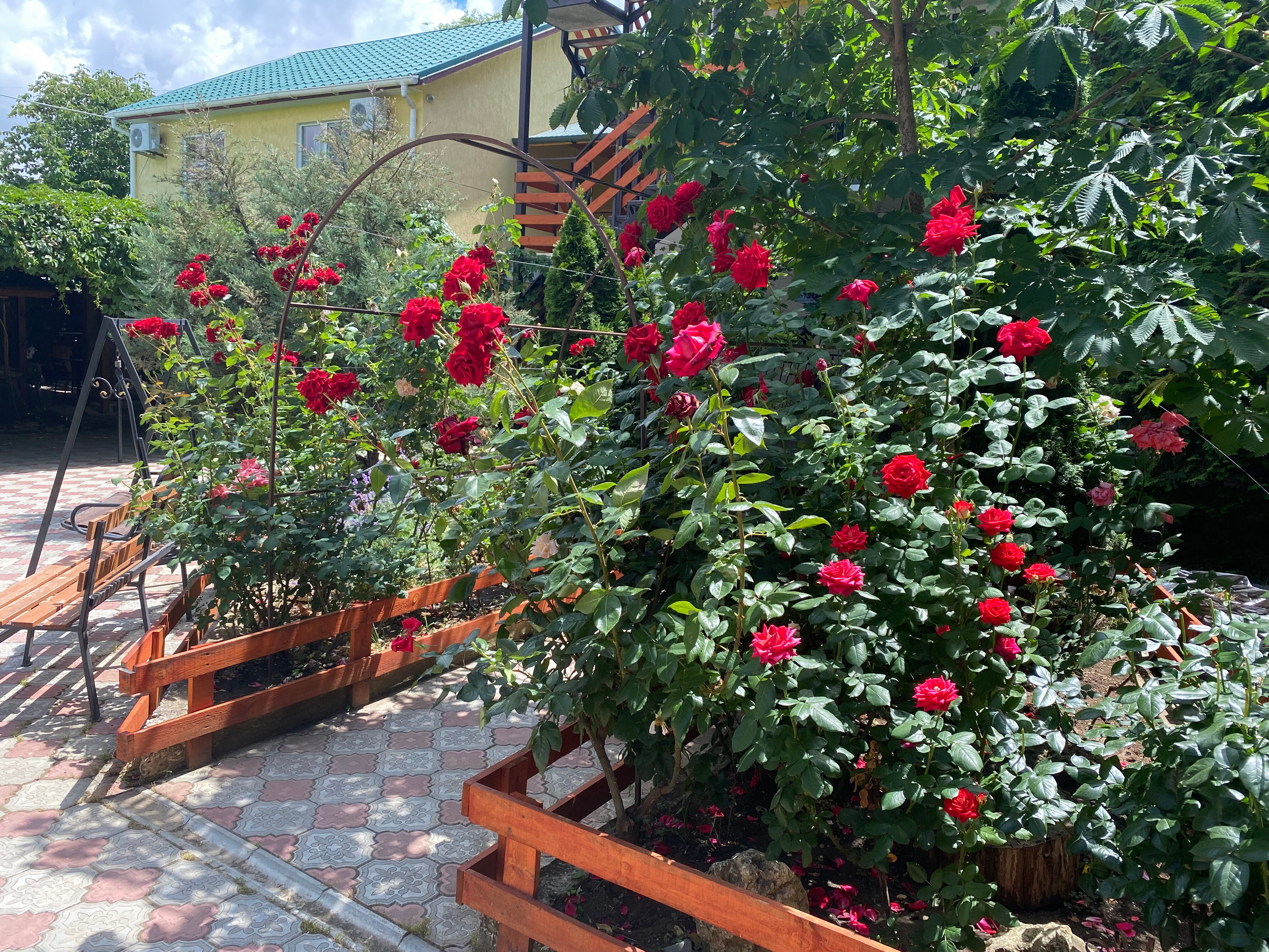 Фото Фортуна