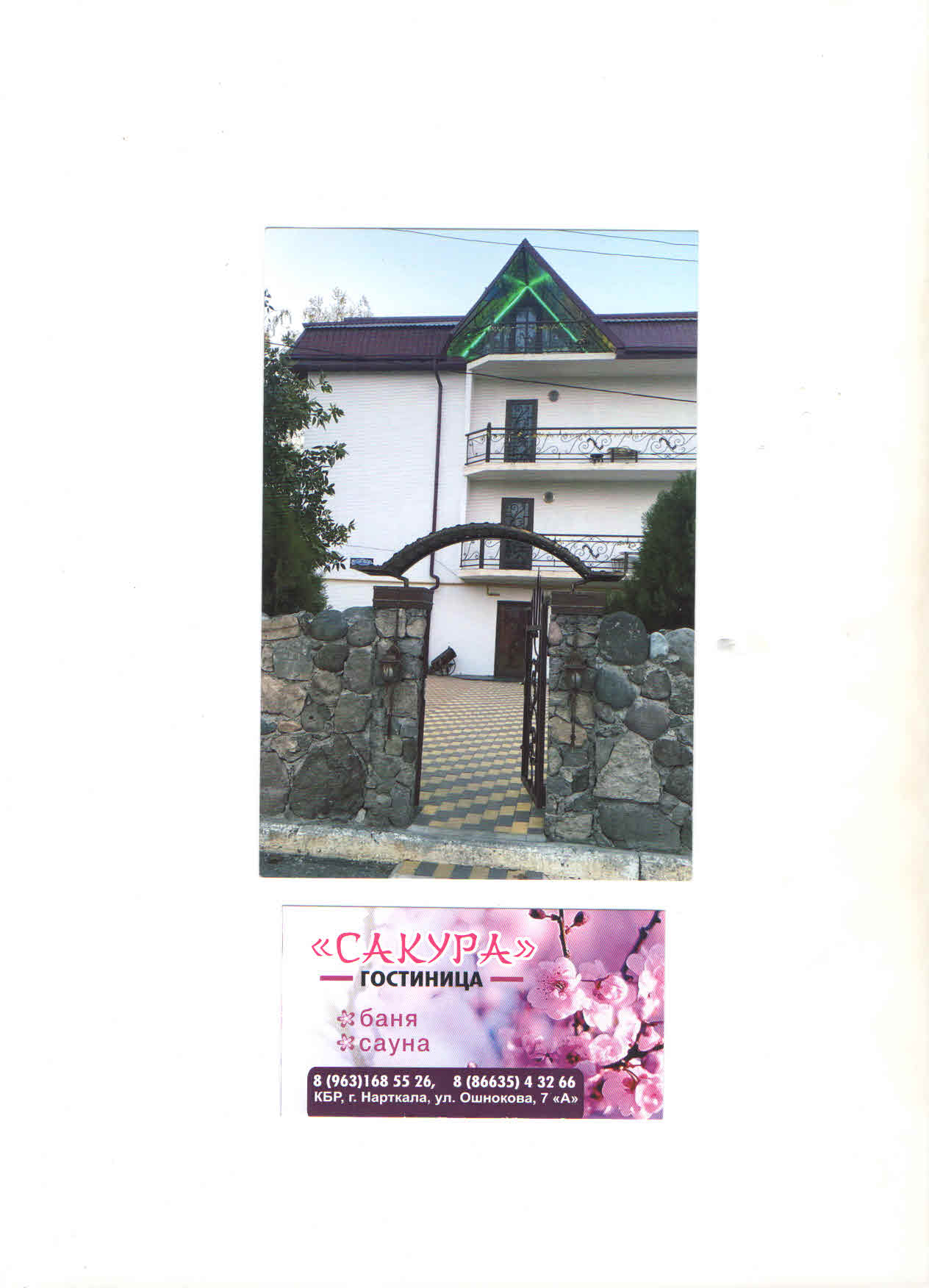 Фото Сакура