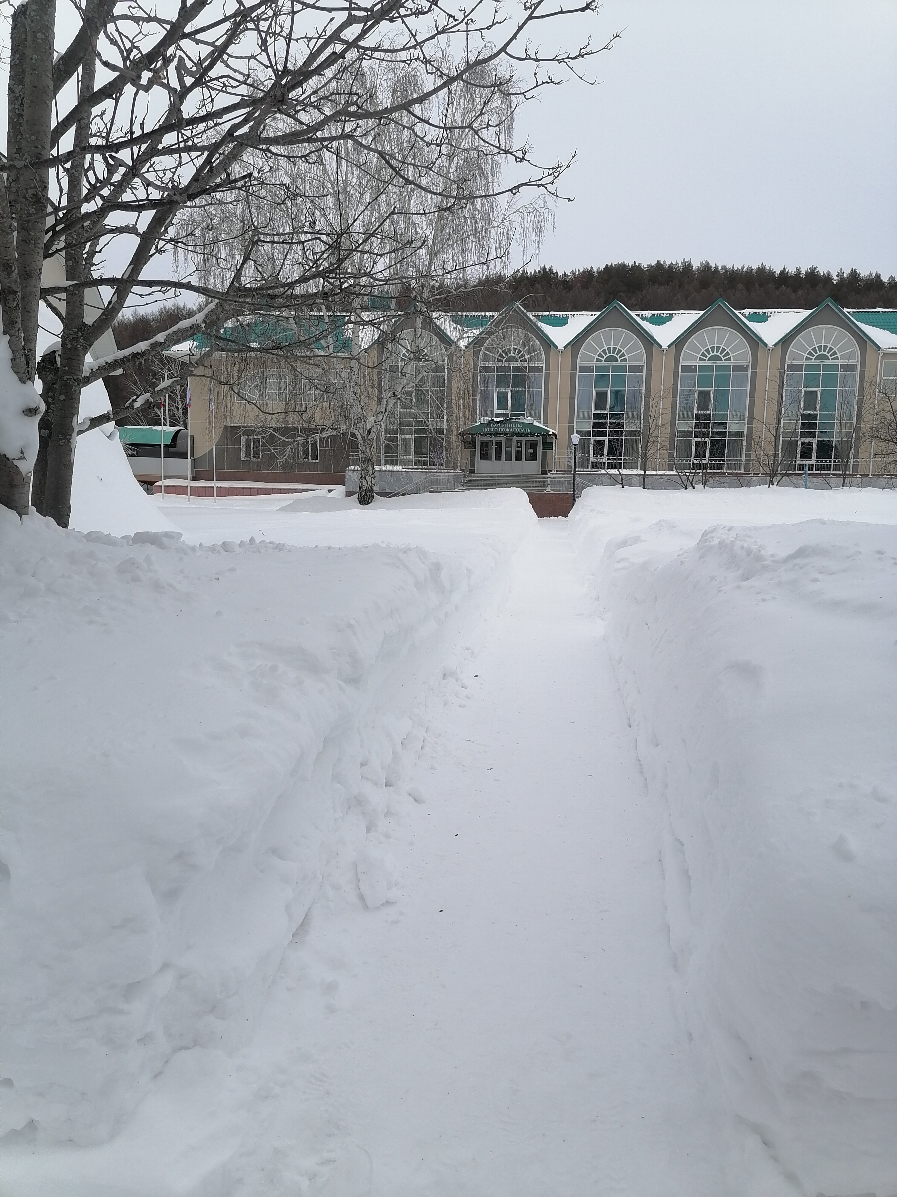 Фото Ромашкино