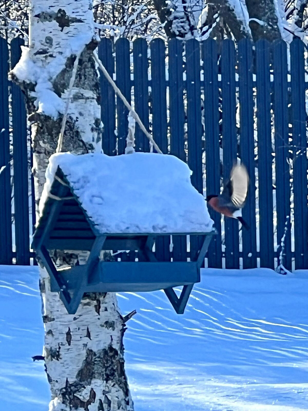 Фото Fraubu. camp