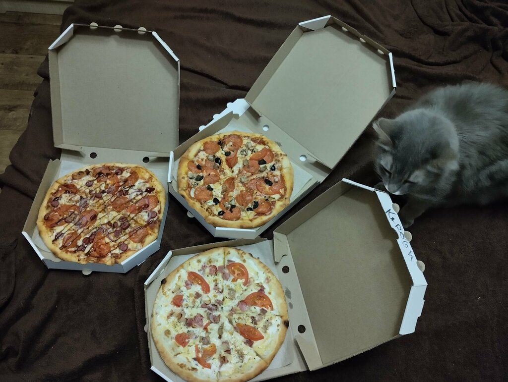Pizzeria Pitseryan, Sevastopol, photo