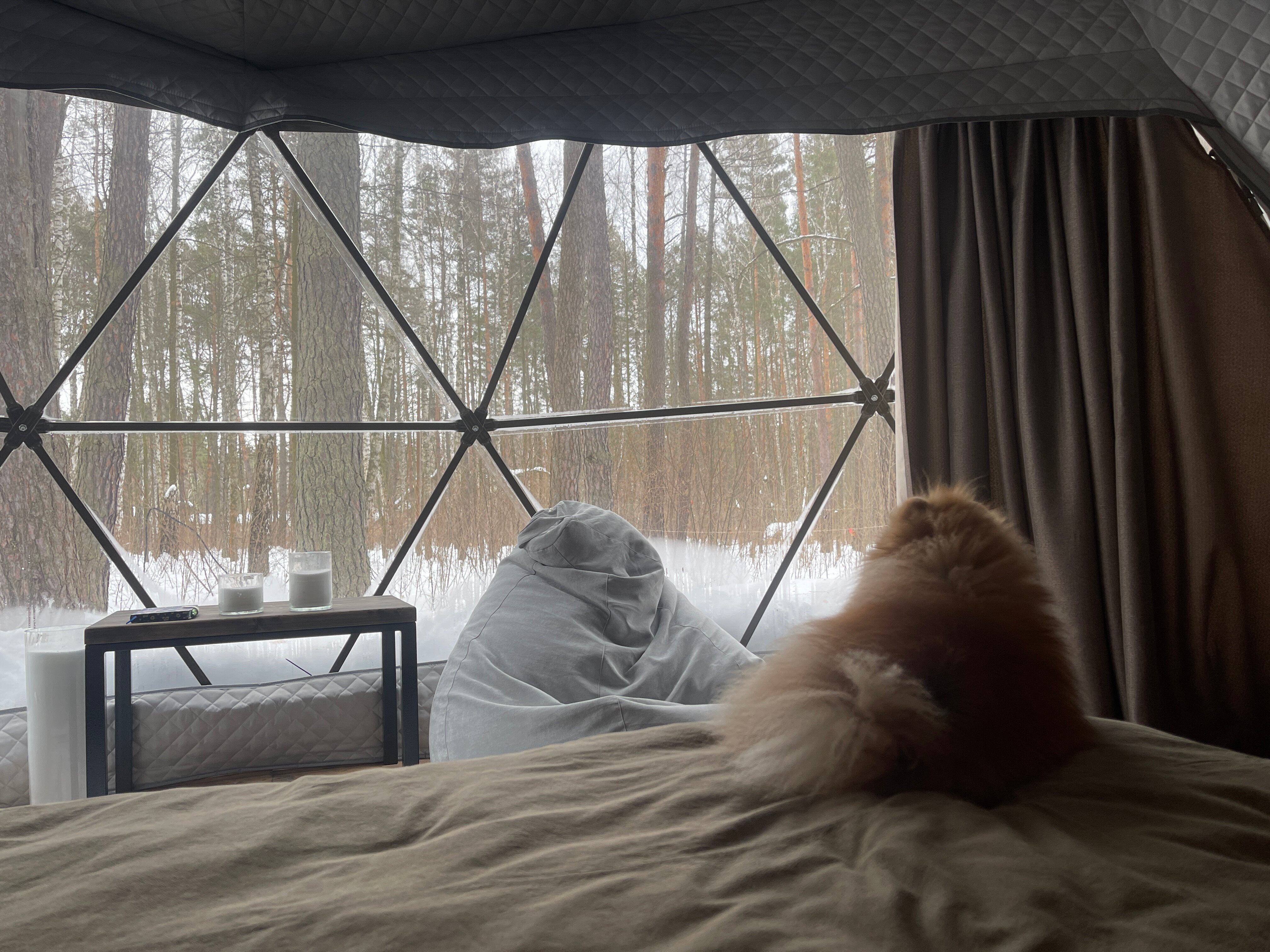 Фото Вили Улей ОКА