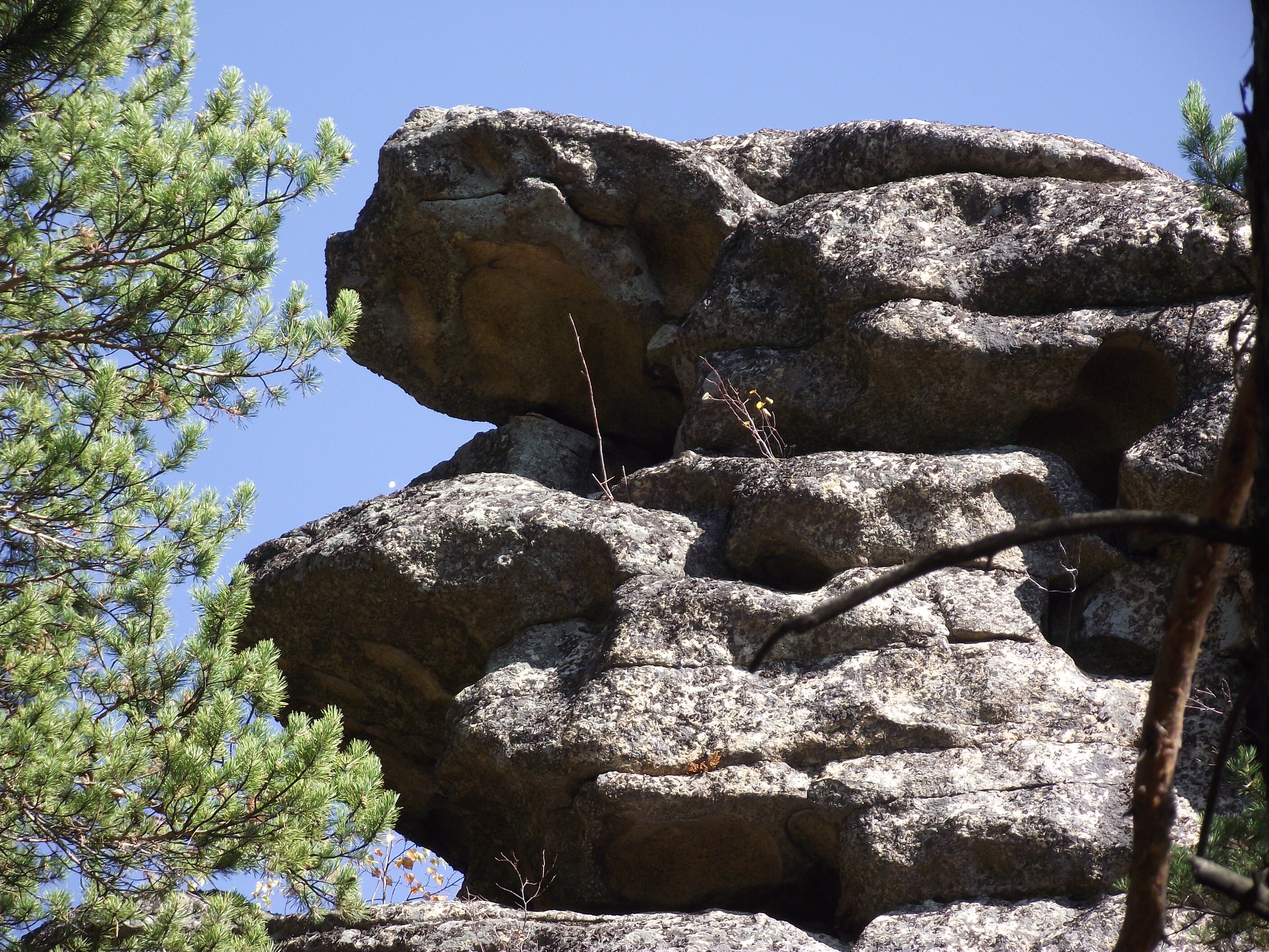 Фото Тихий Лог