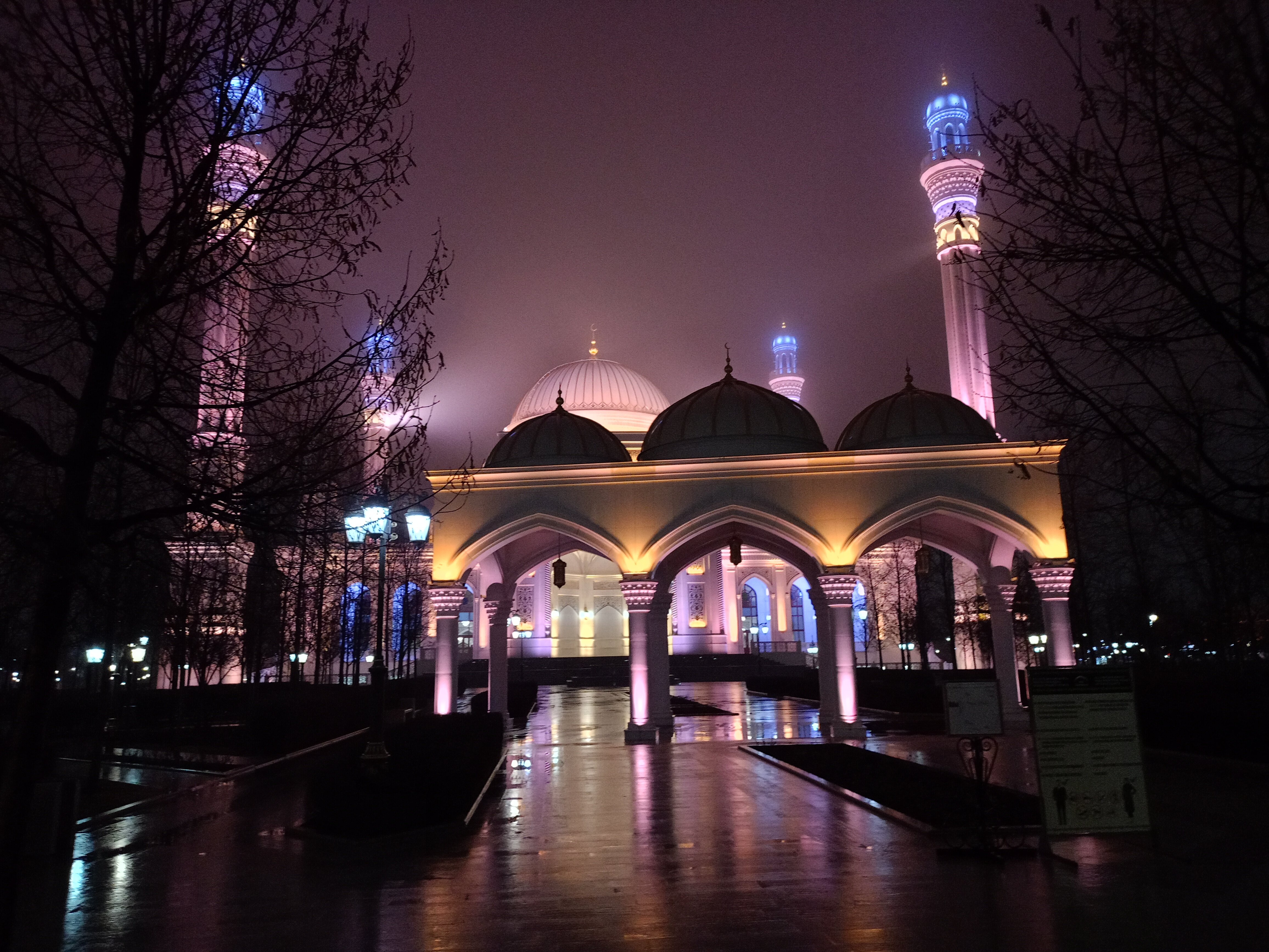 Фото Шали-Сити