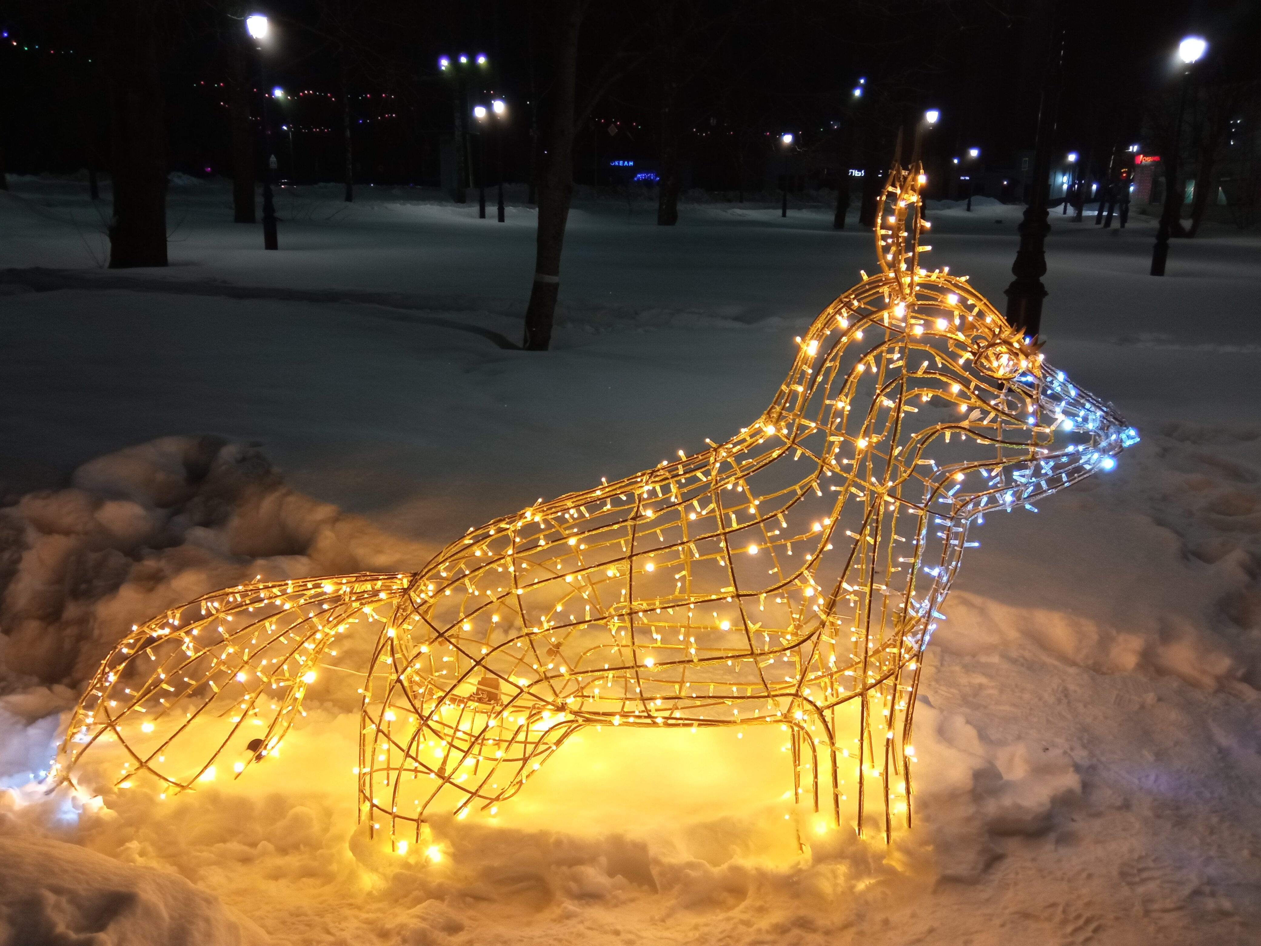 Фото Центр досуга и отдыха Оскар