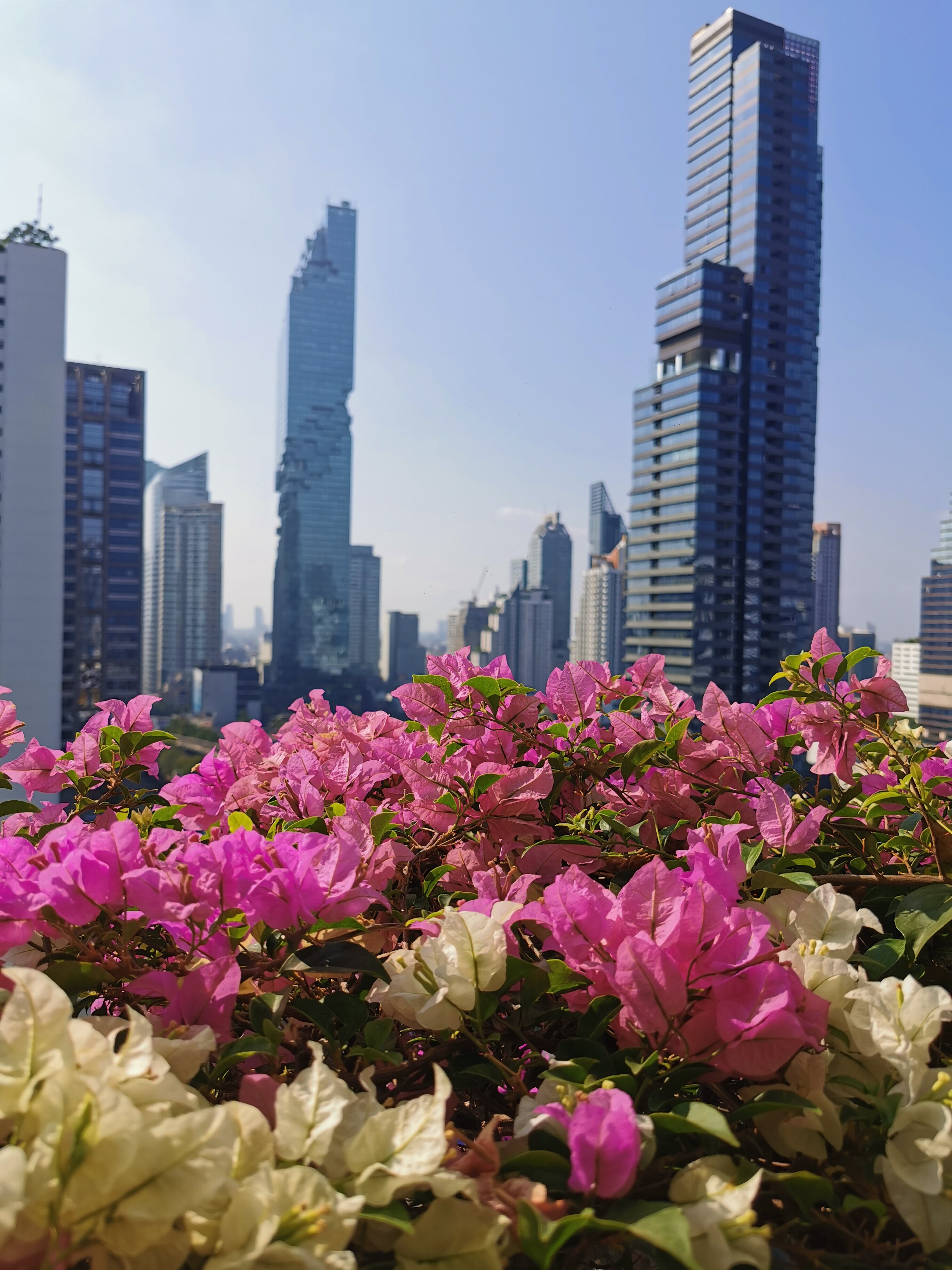 Фото Amara Bangkok Hotel