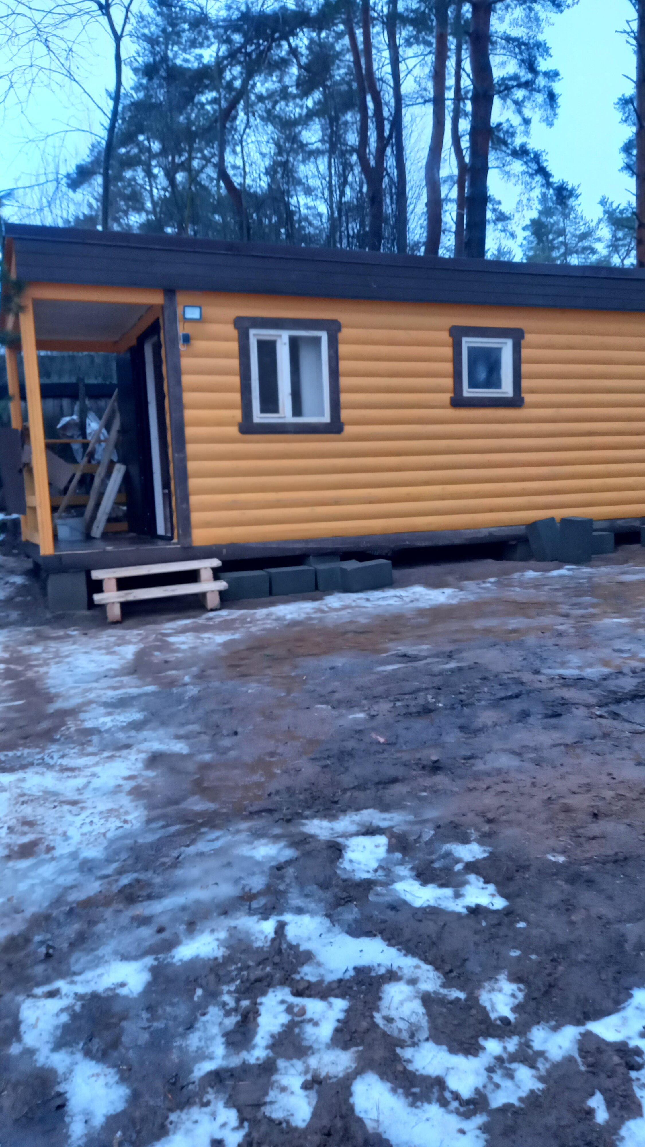 Фото Дом у сосен