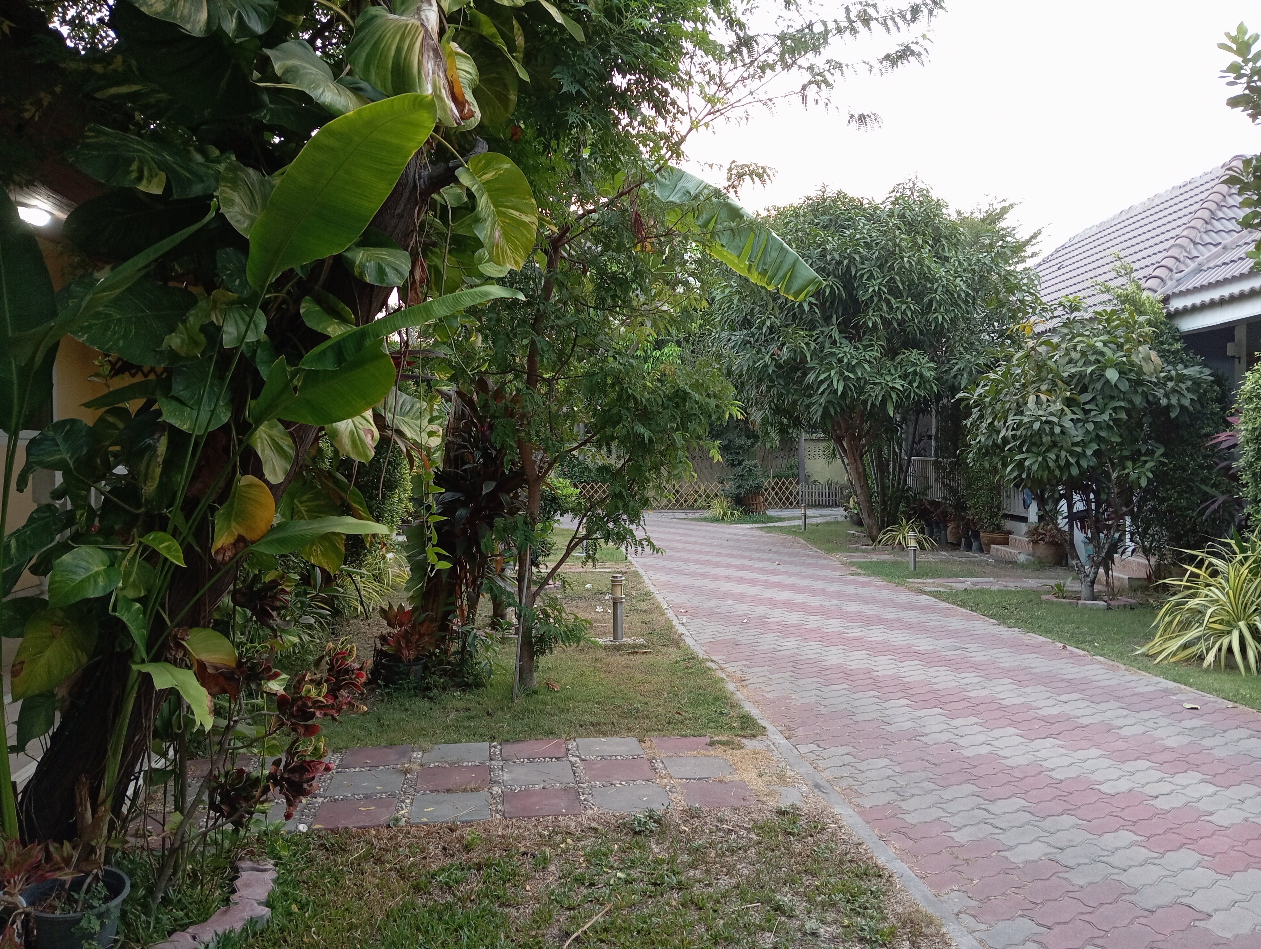 Фото Baan Penny