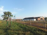 Конно-спортивный комплекс Донские кони (Lebedyan, Pervomayskaya ulitsa, 31) ، ركوب الخيل