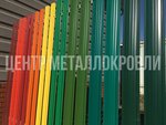 Petropavlovsk-Kamchatskiy Shtaketniki.ru (Vostochnoye shosse, 5) ، الأسوار والحواجز المعدنية