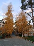 Det/Sad № 15 (mikrorayon Dolinsk, prospekt Shogentsukova, 23), jardín de infancia, guardería