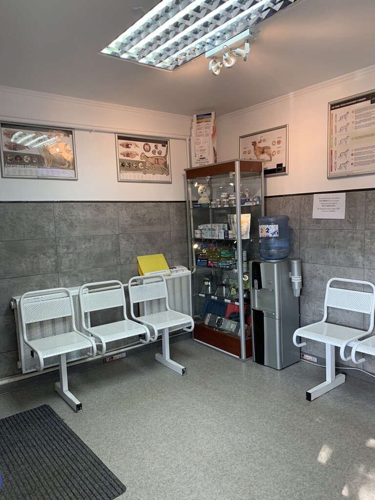 Veterinary clinic Radushny Lekar, Brest, photo