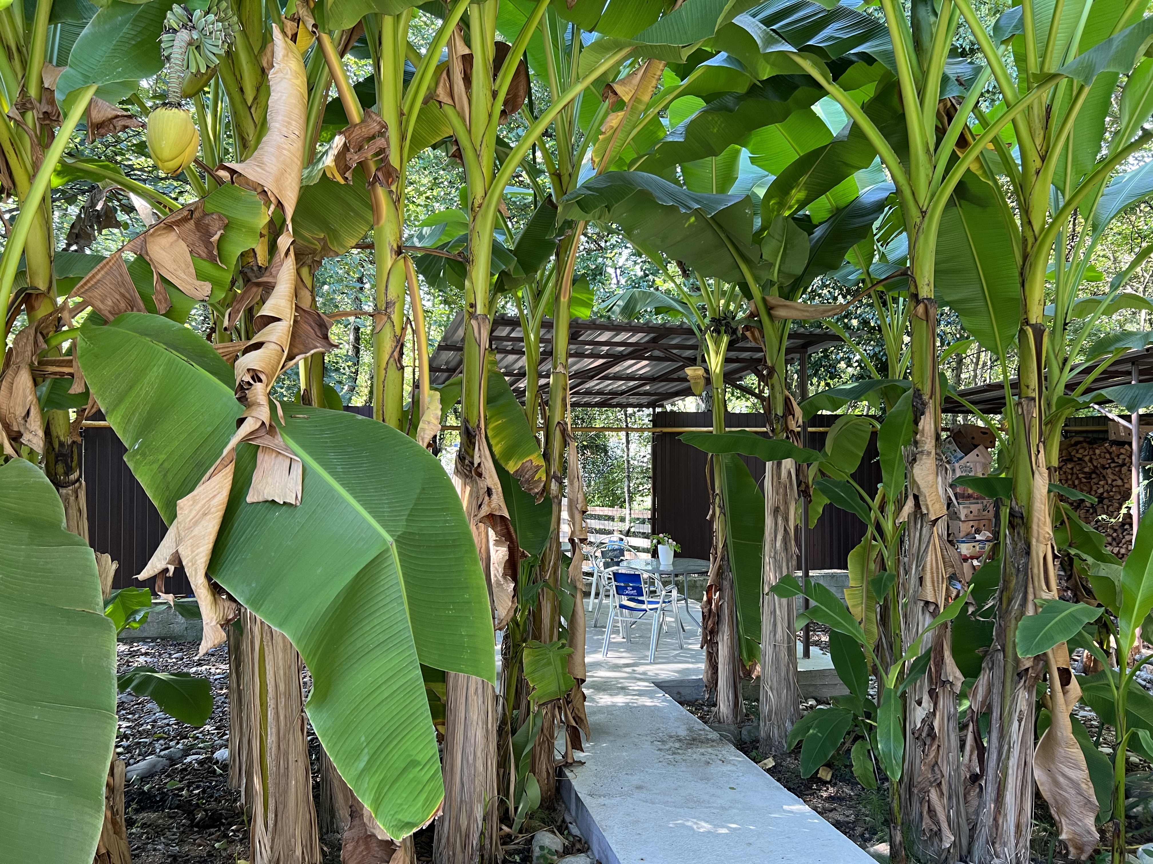 Фото У Елены