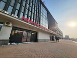 Винкулум (Nizhneportovaya Street, 1) ، شركة التخطيط والتنفيذ
