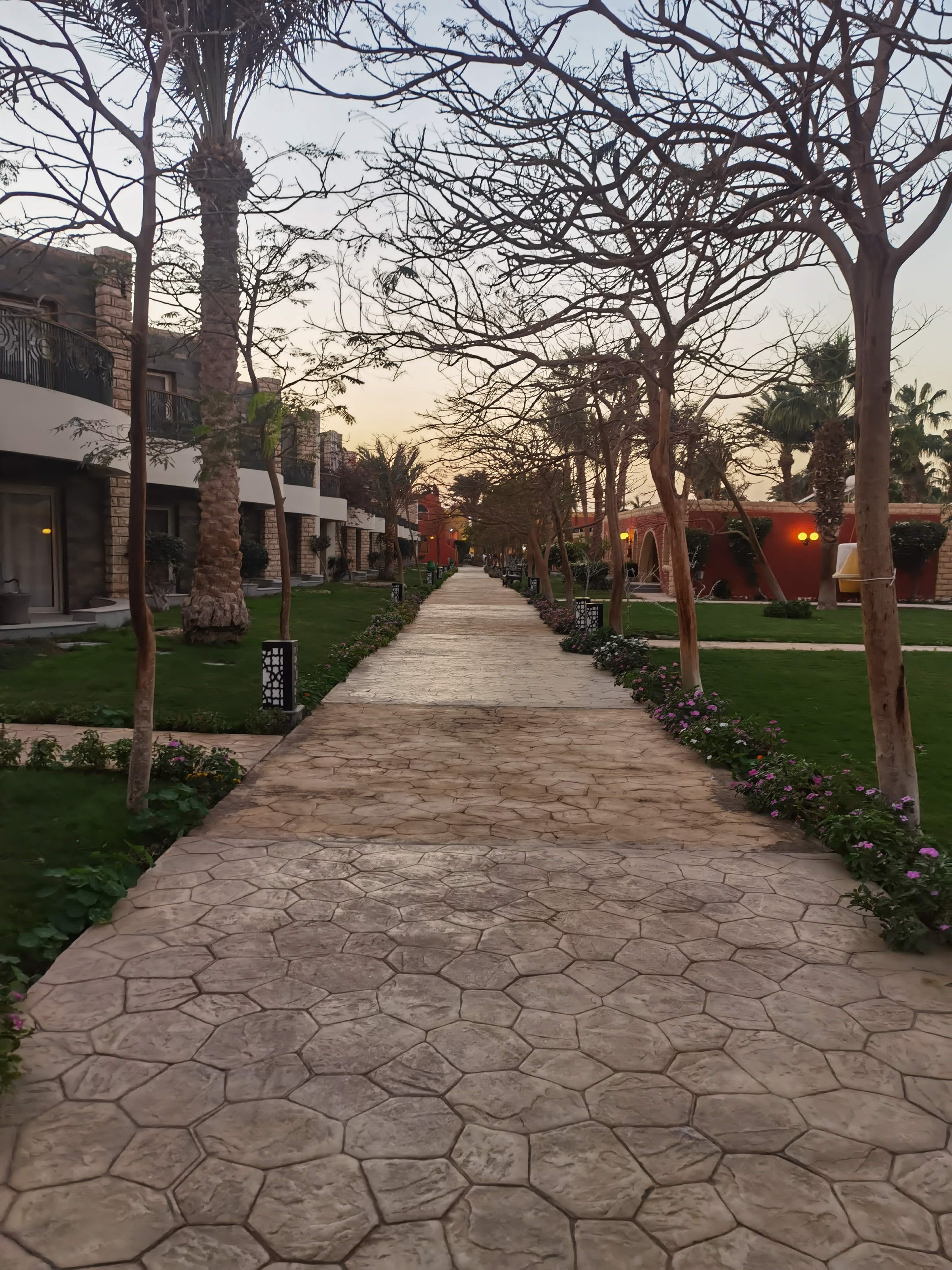 Фото Aladdin Beach Resort