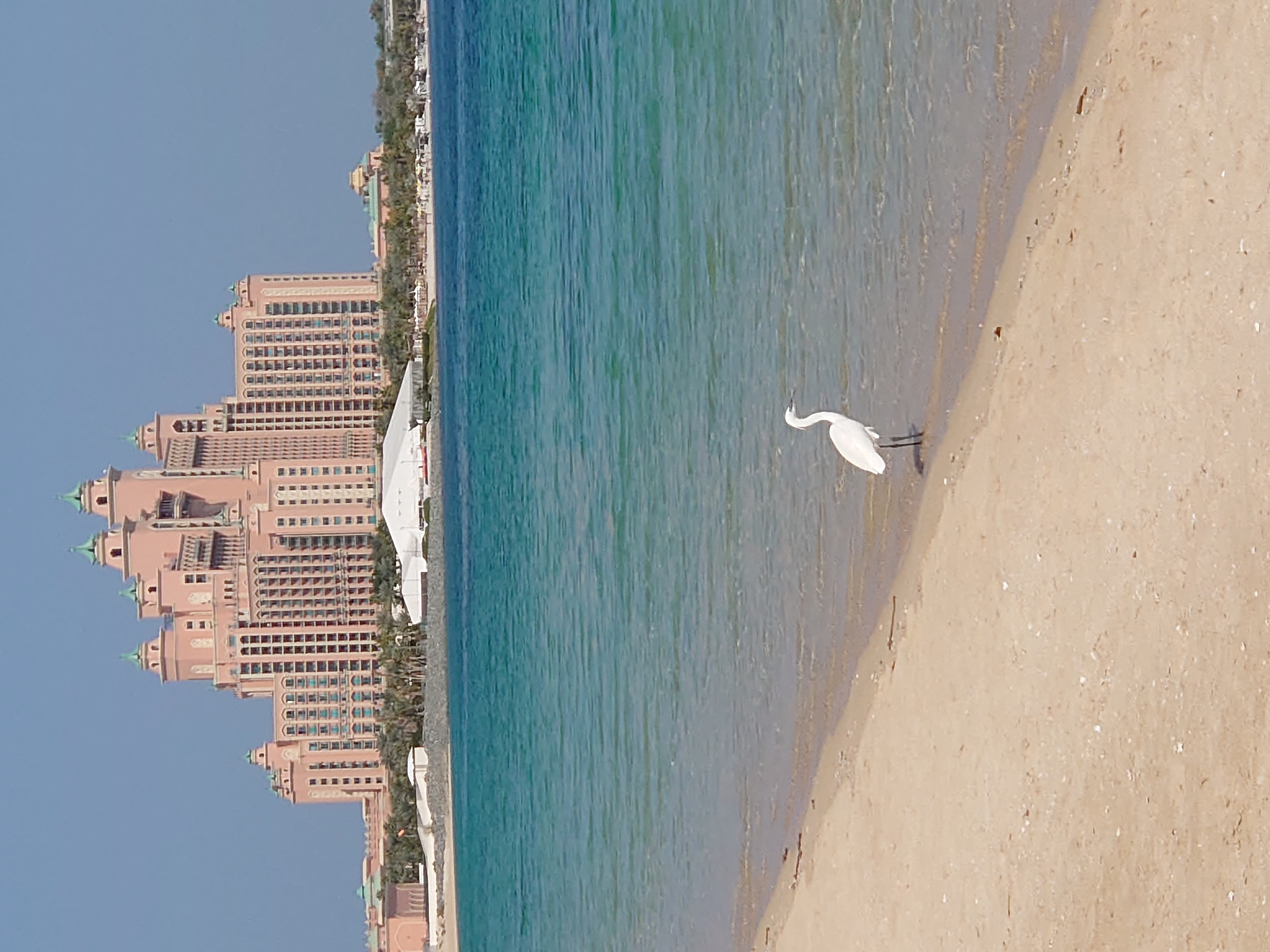 Фото Th8 Palm Dubai Beach Resort by IHG Dubai