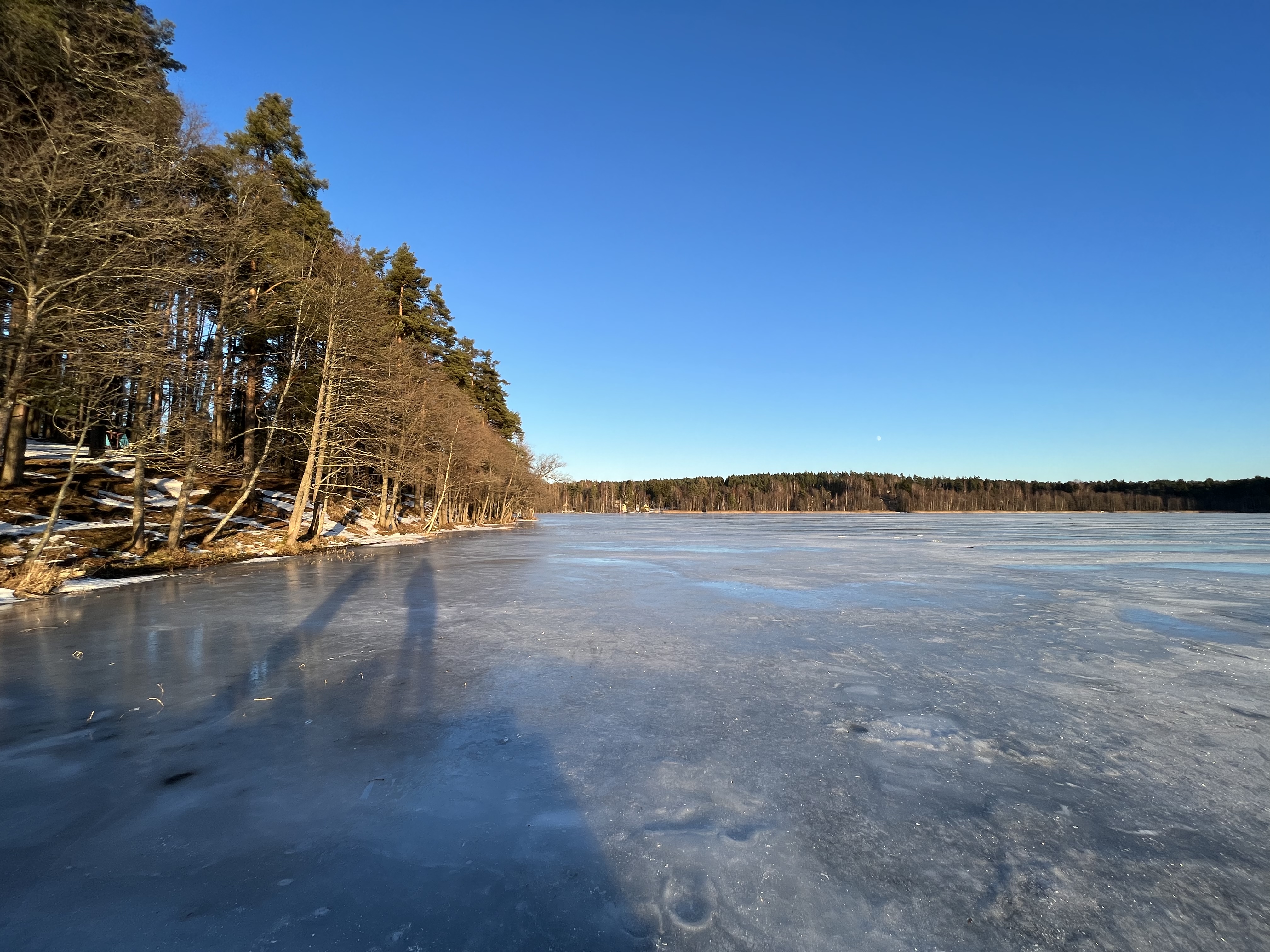 Фото Sosna Igora house