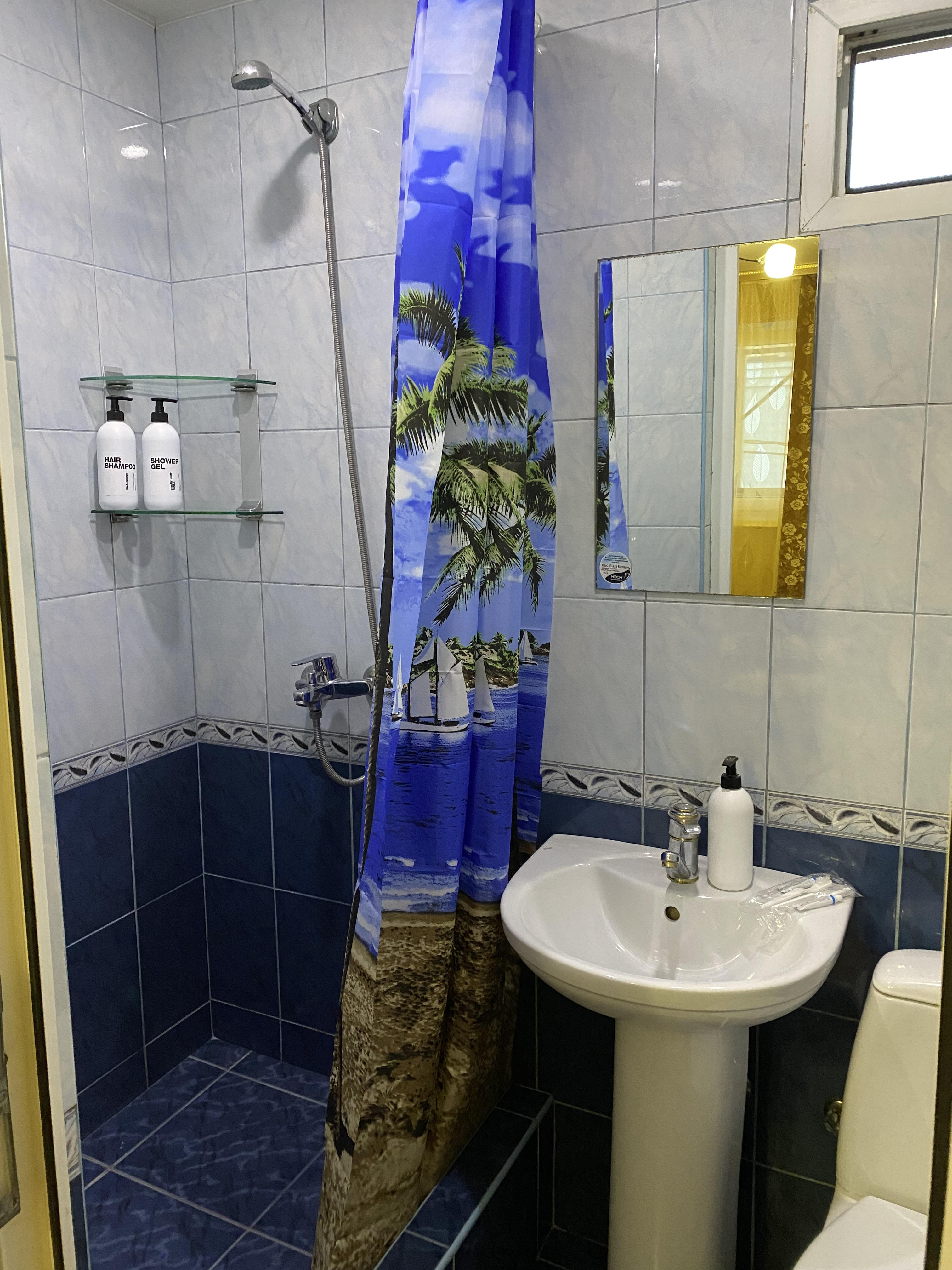 Фото Кипарис