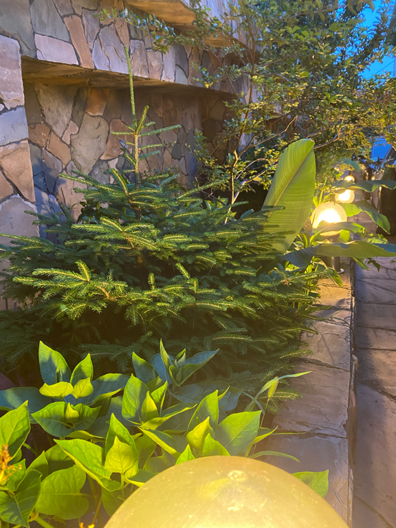 Фото Аркадия