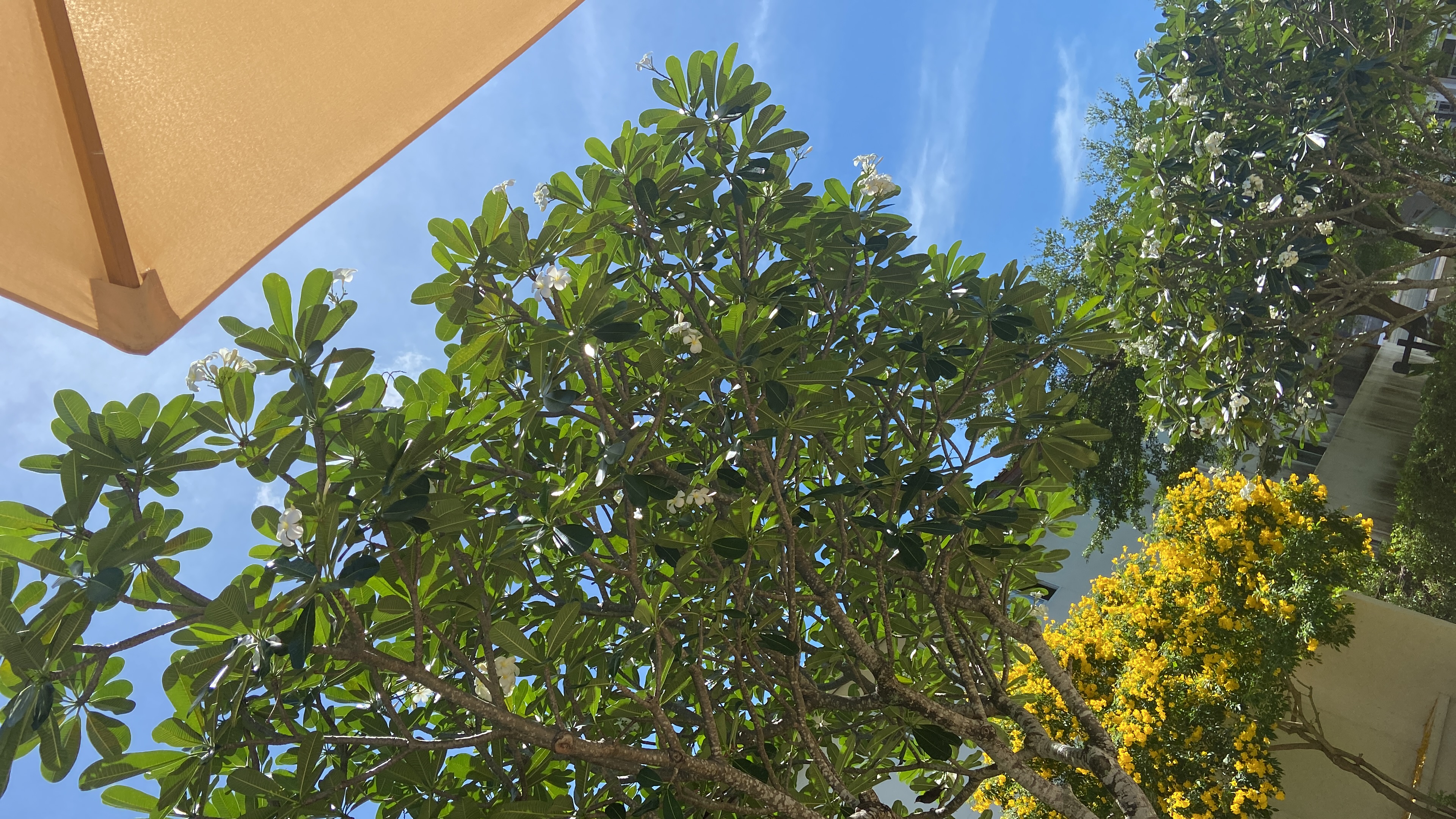 Фото The Melody Phuket