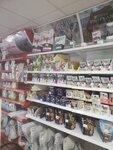РИО (mikrorayon Vostochny, 48), pet shop