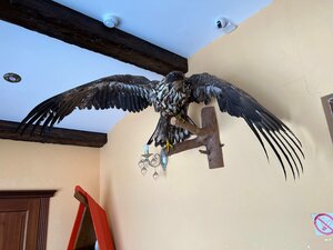 Ретро порно түтік бейне