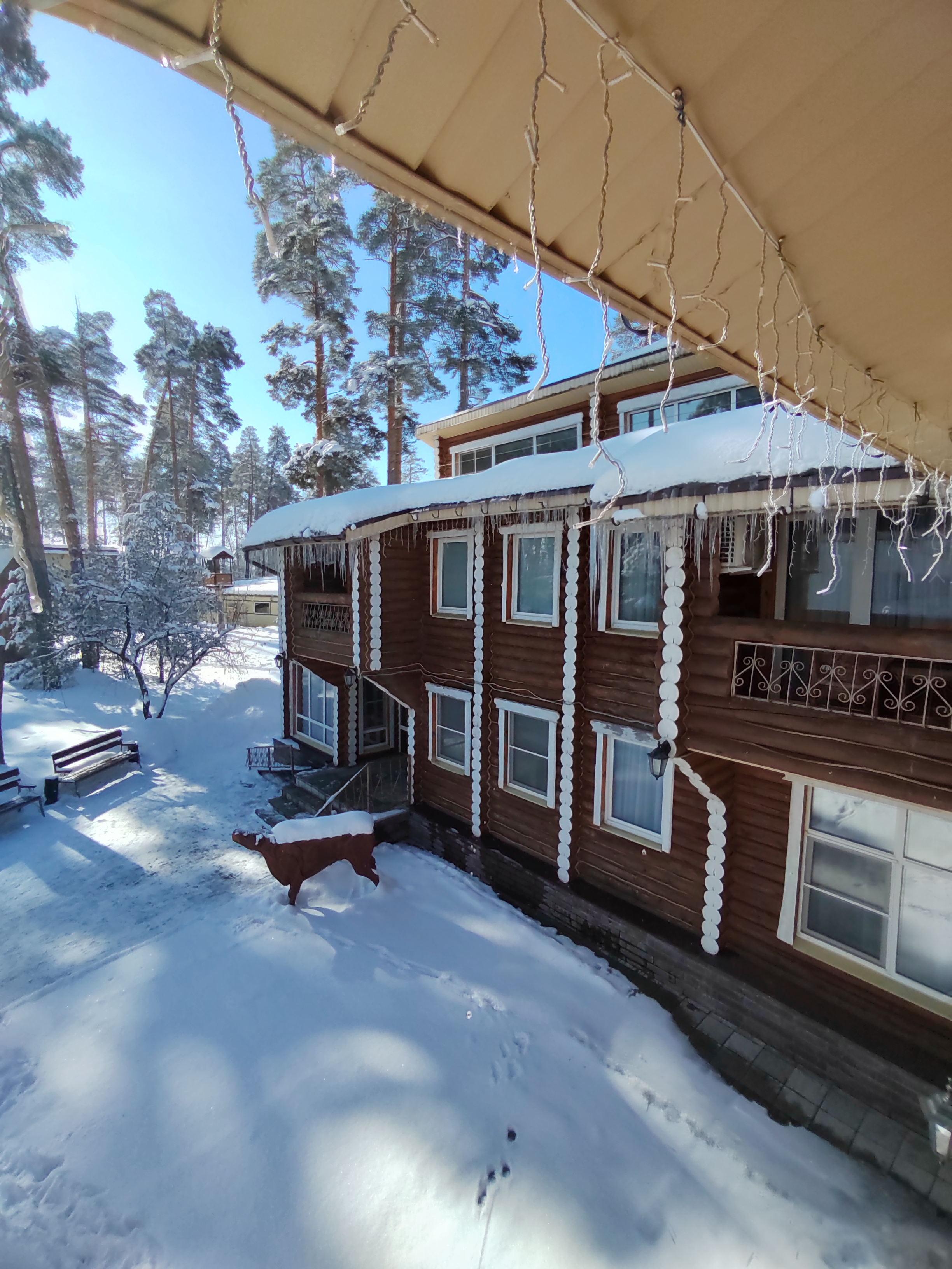 Фото Ранчо 636