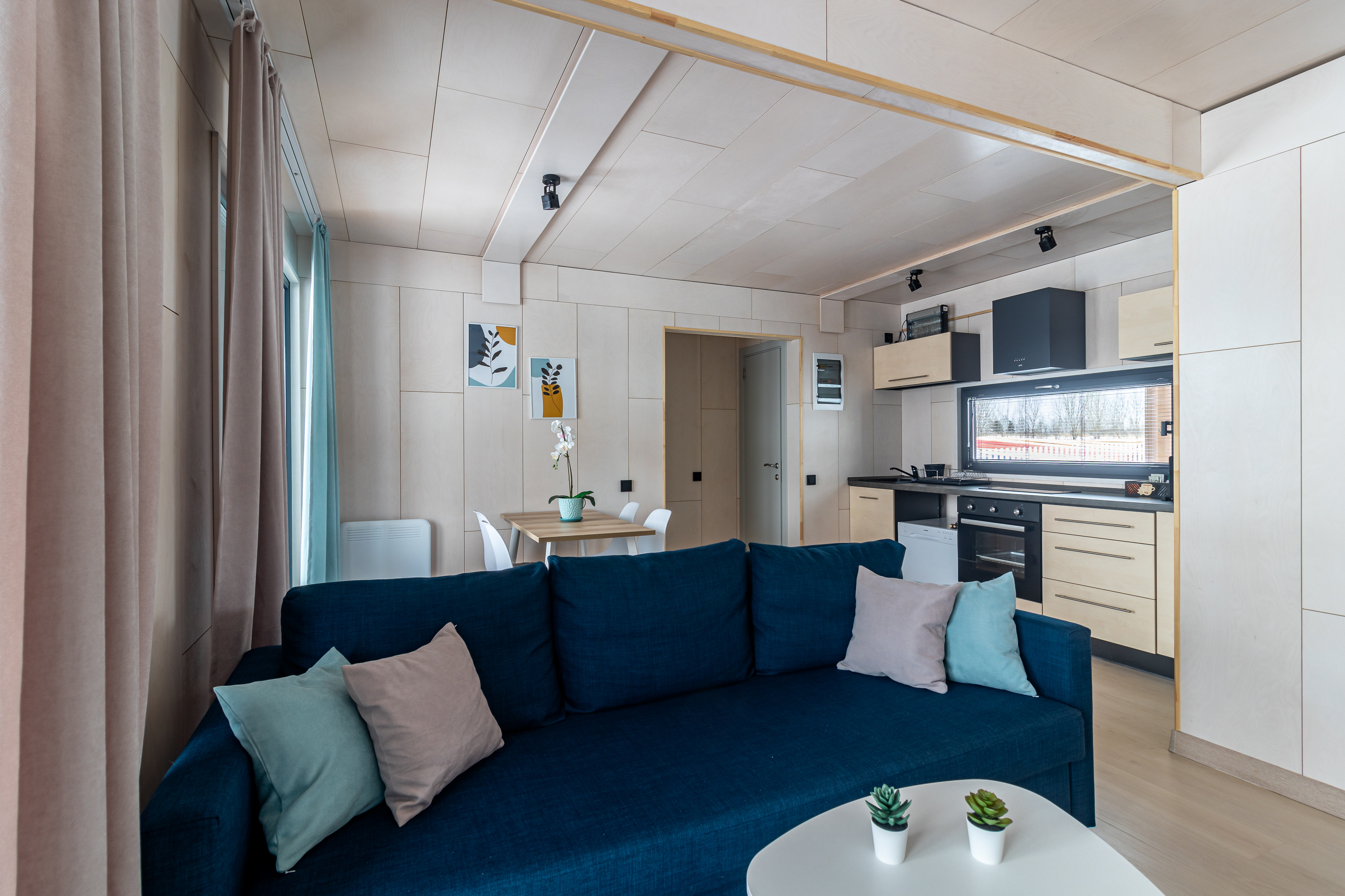 Фото Зеленый лес