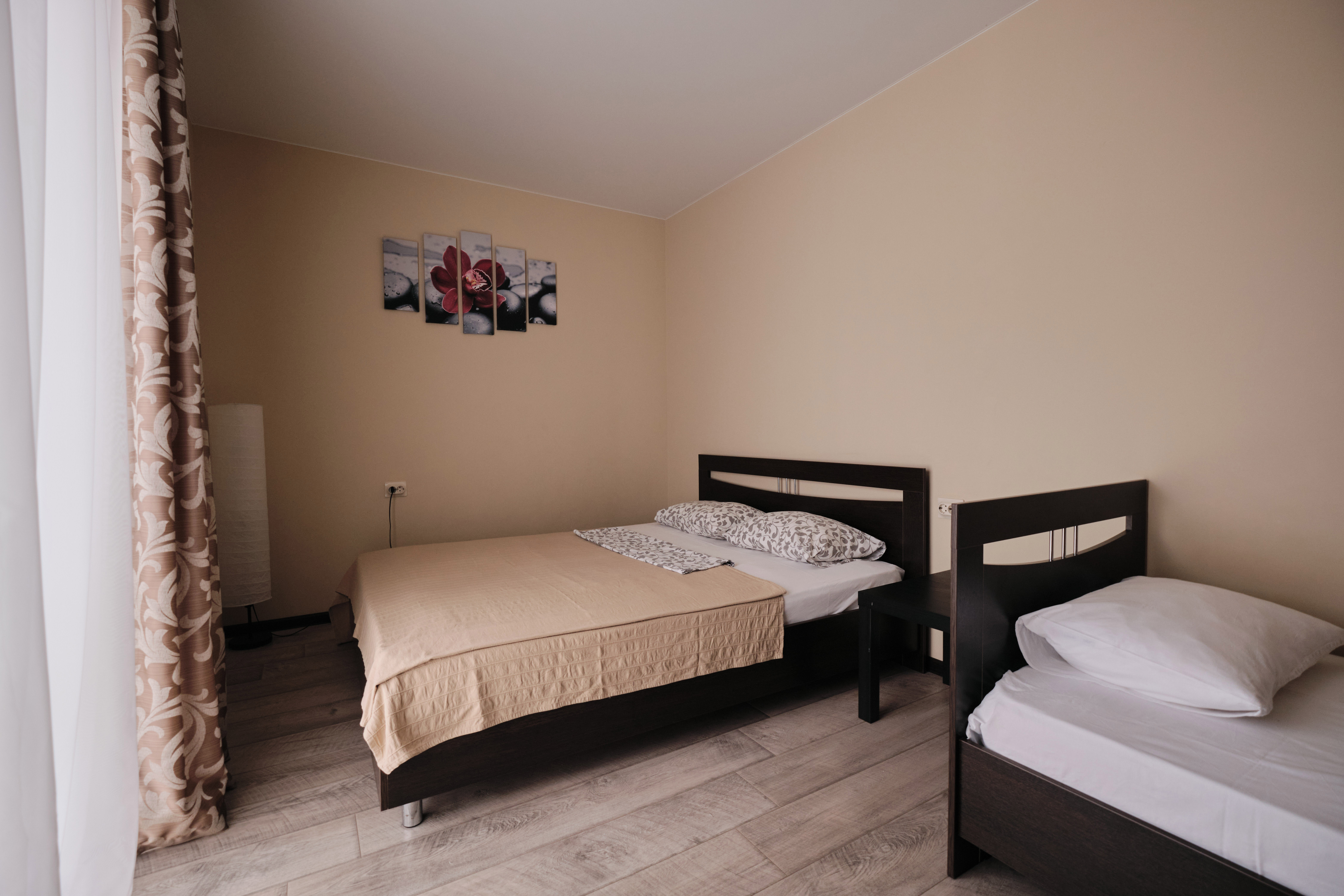 Фото Солнечная орхидея