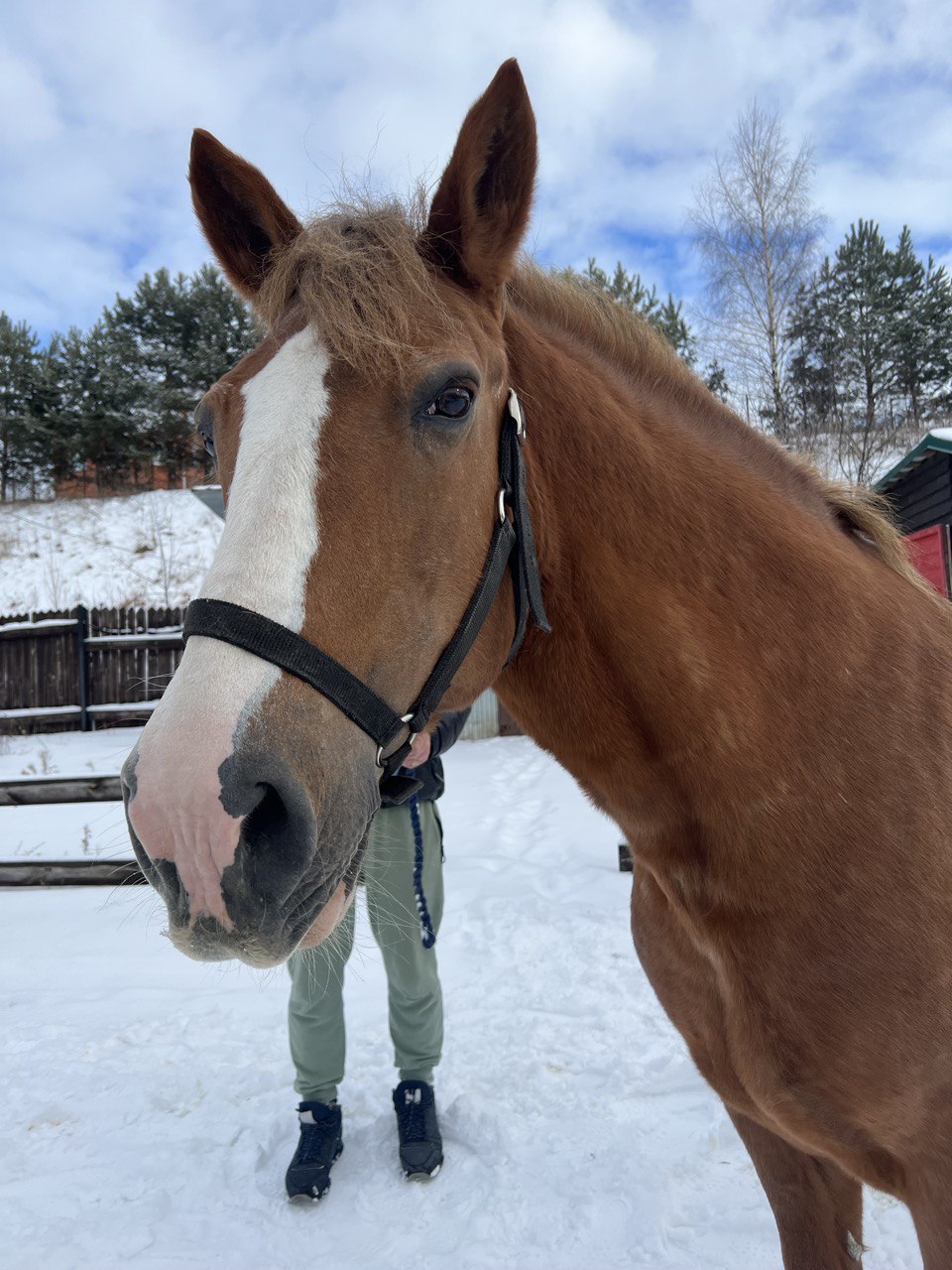 Фото Маруся