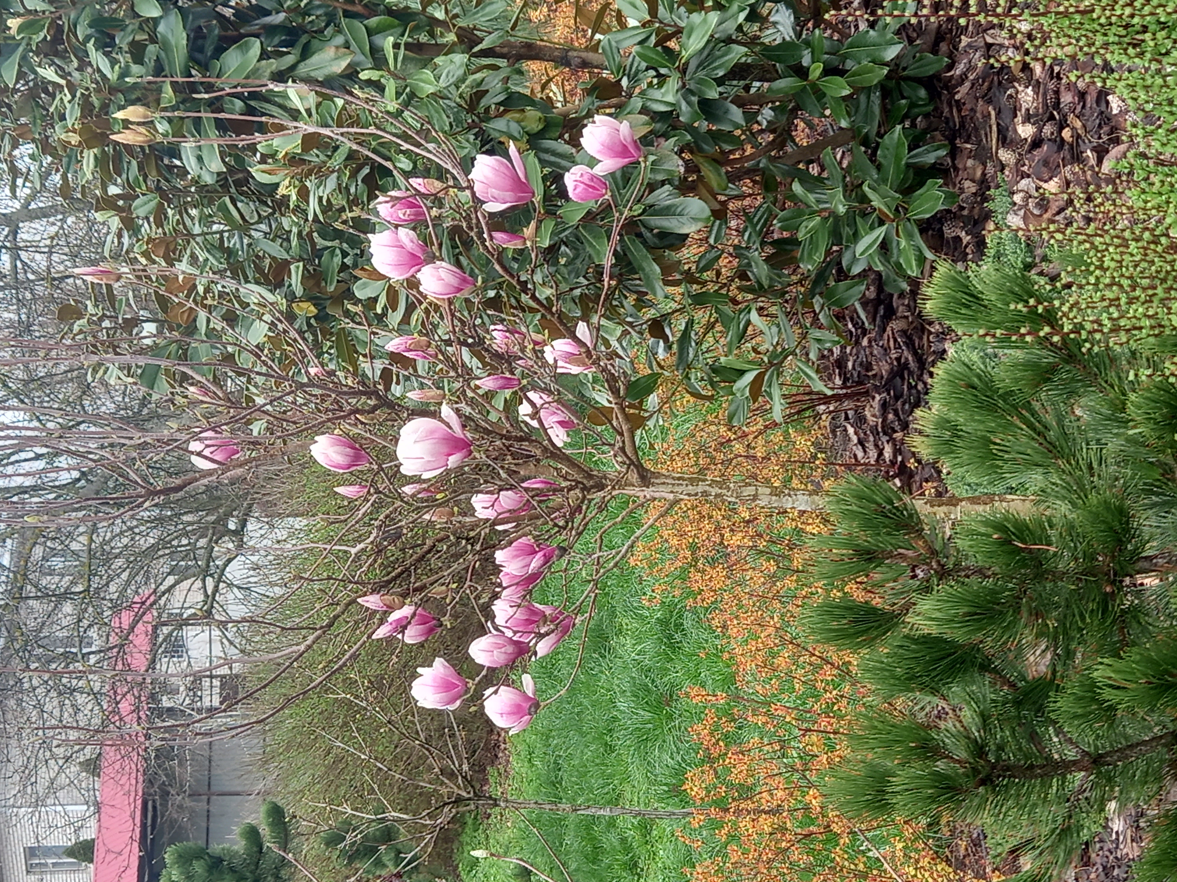 Фото Саксония