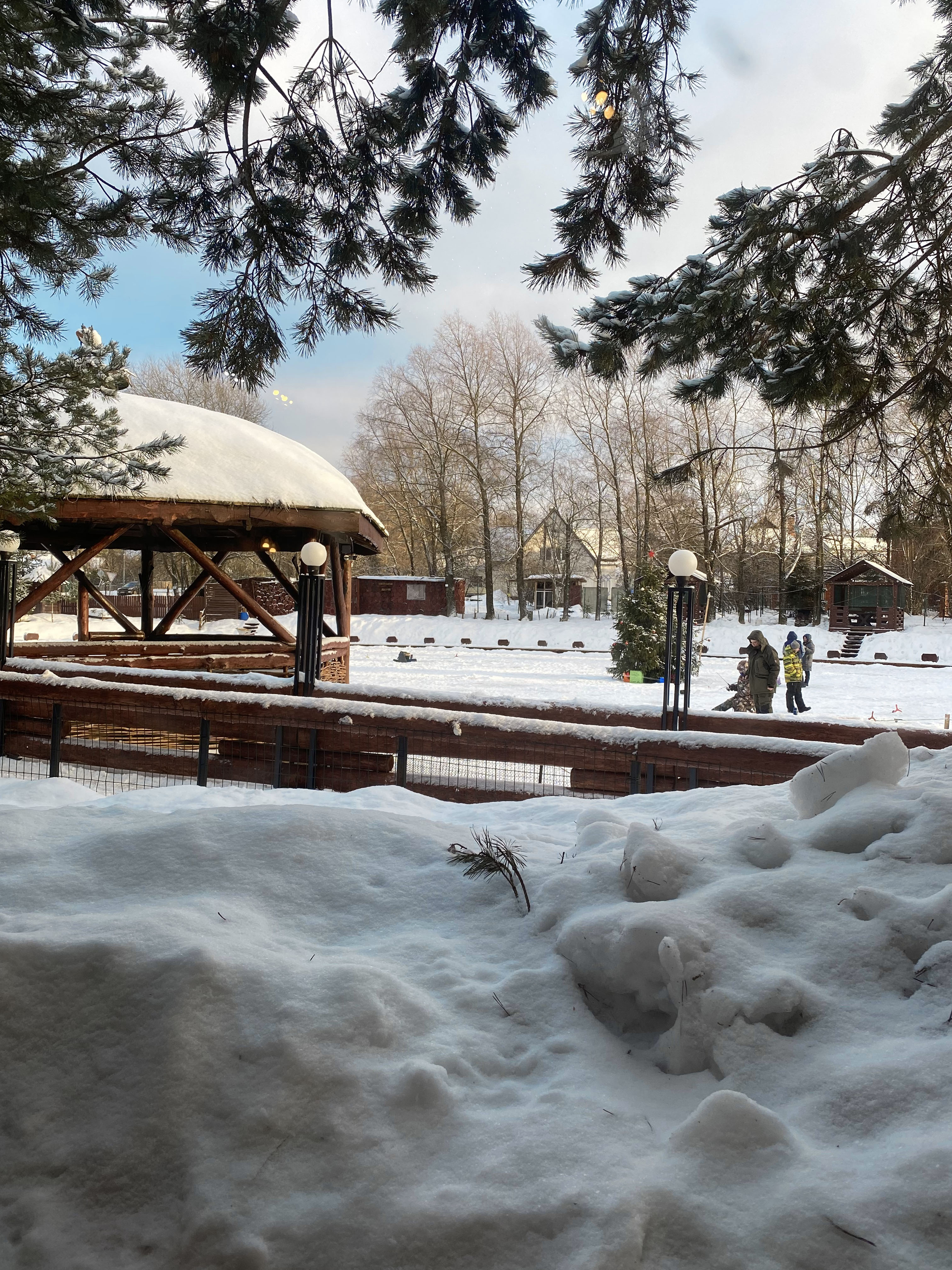Фото Соколиное Гнездо