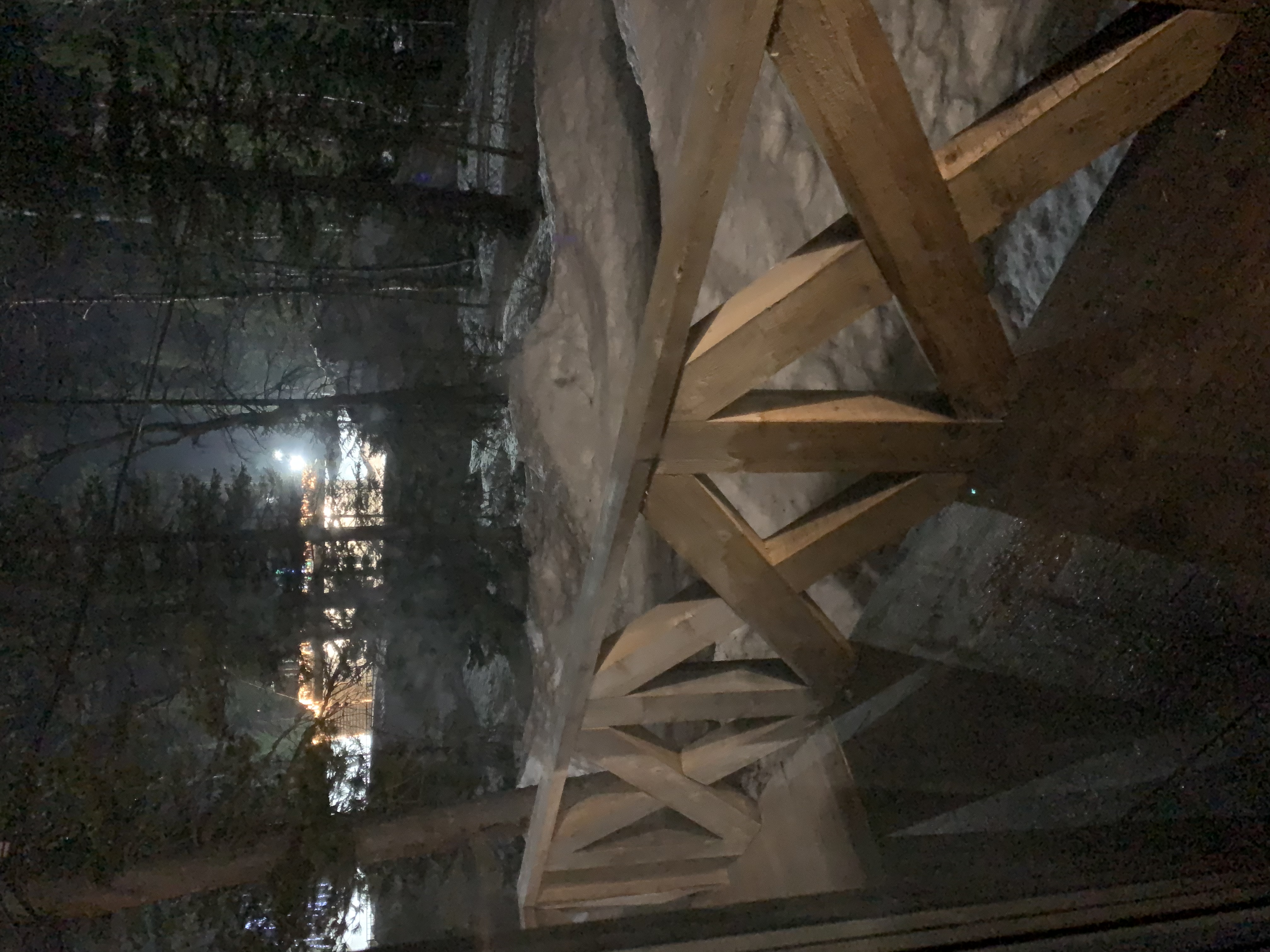 Фото Сила Сибири