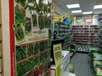 Urozhay+ (Marshala Golovanova Street, 25), gardening shop