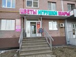 Цветы-игрушки-шары (Rodionova Street, 195), flower shop