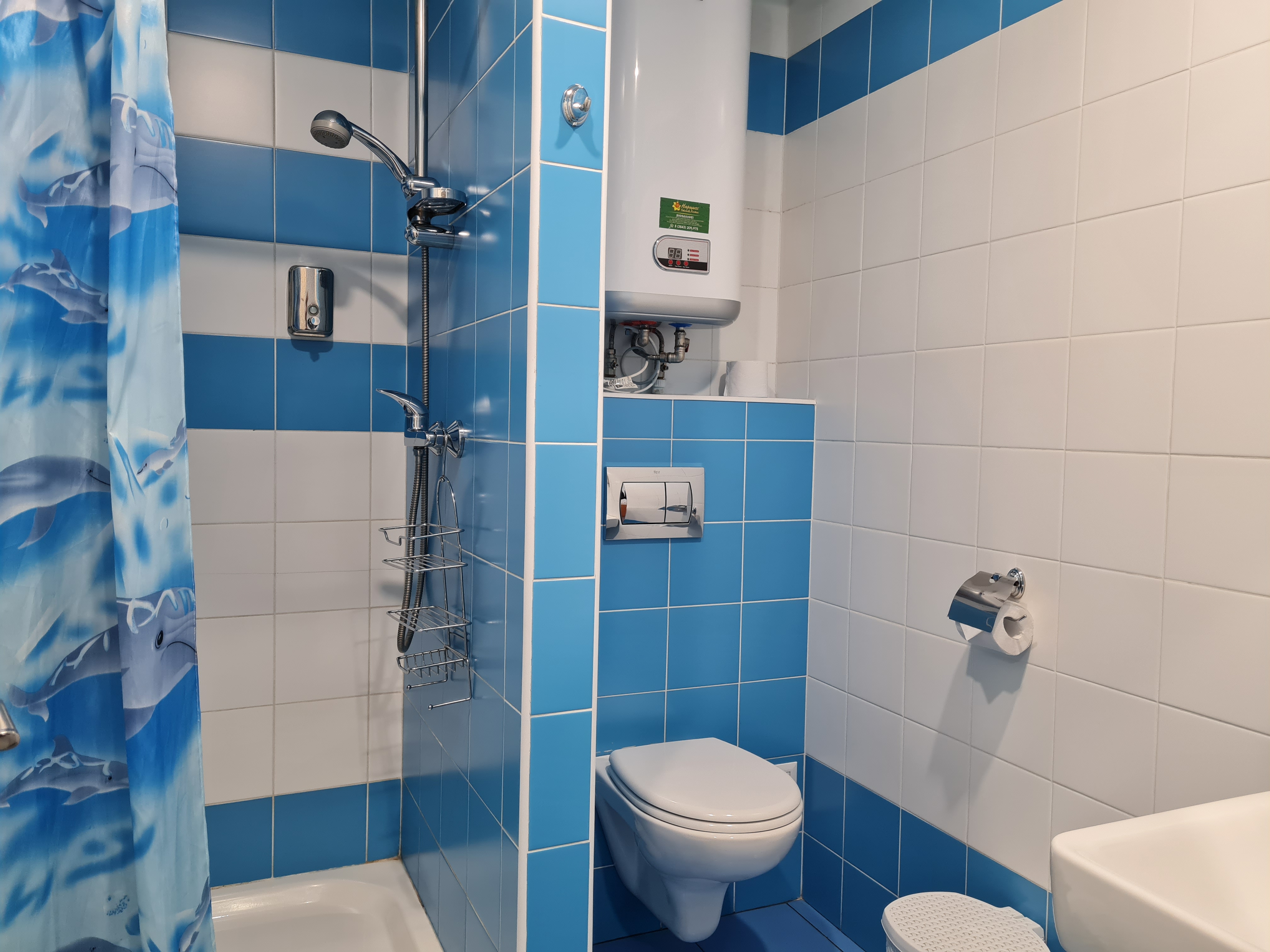 Фото Нарцисс